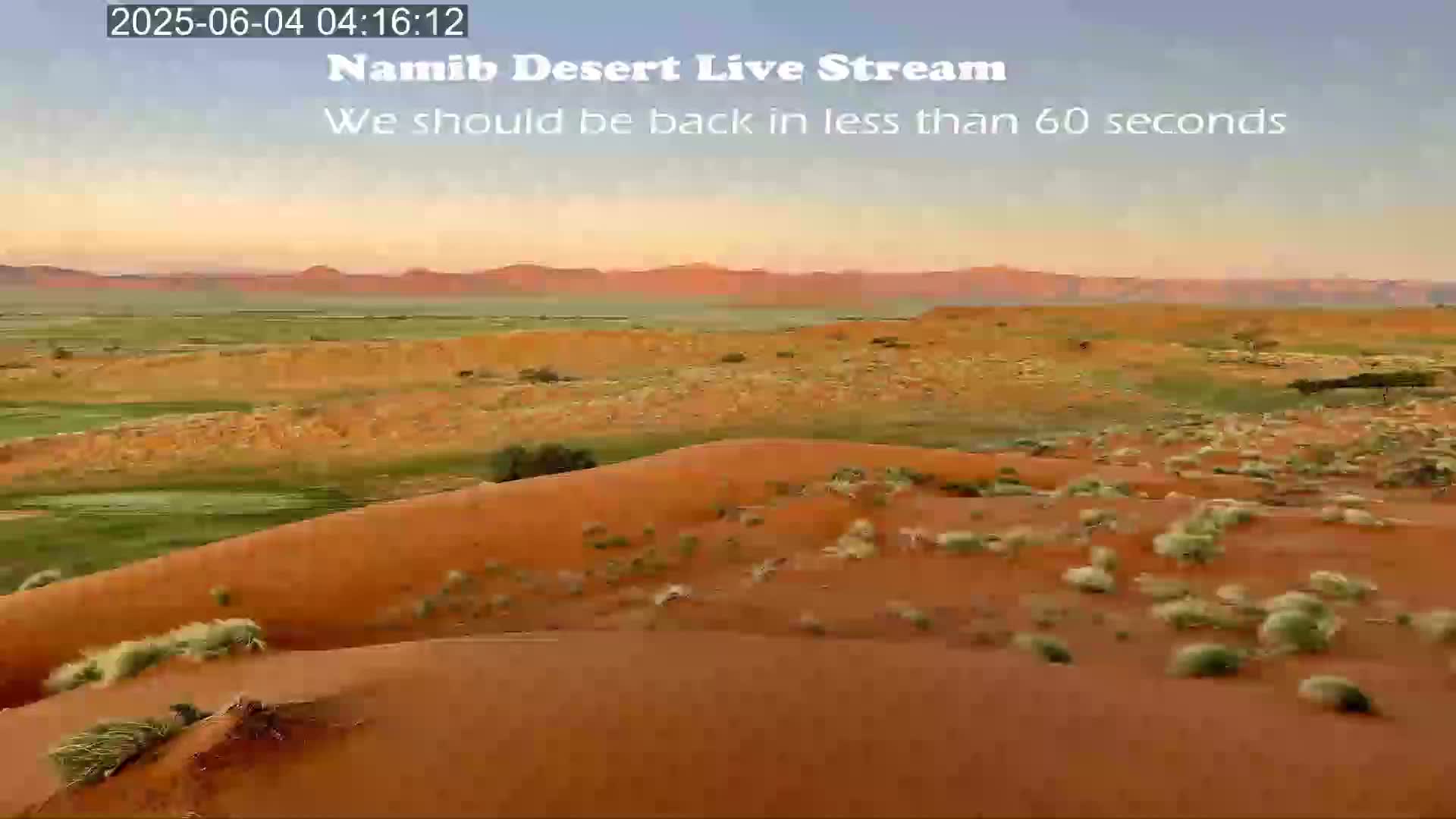 Wild Life in Namib Desert Naukluft National Park Live Cam - Maltahohe, Hardap,  Namibia
