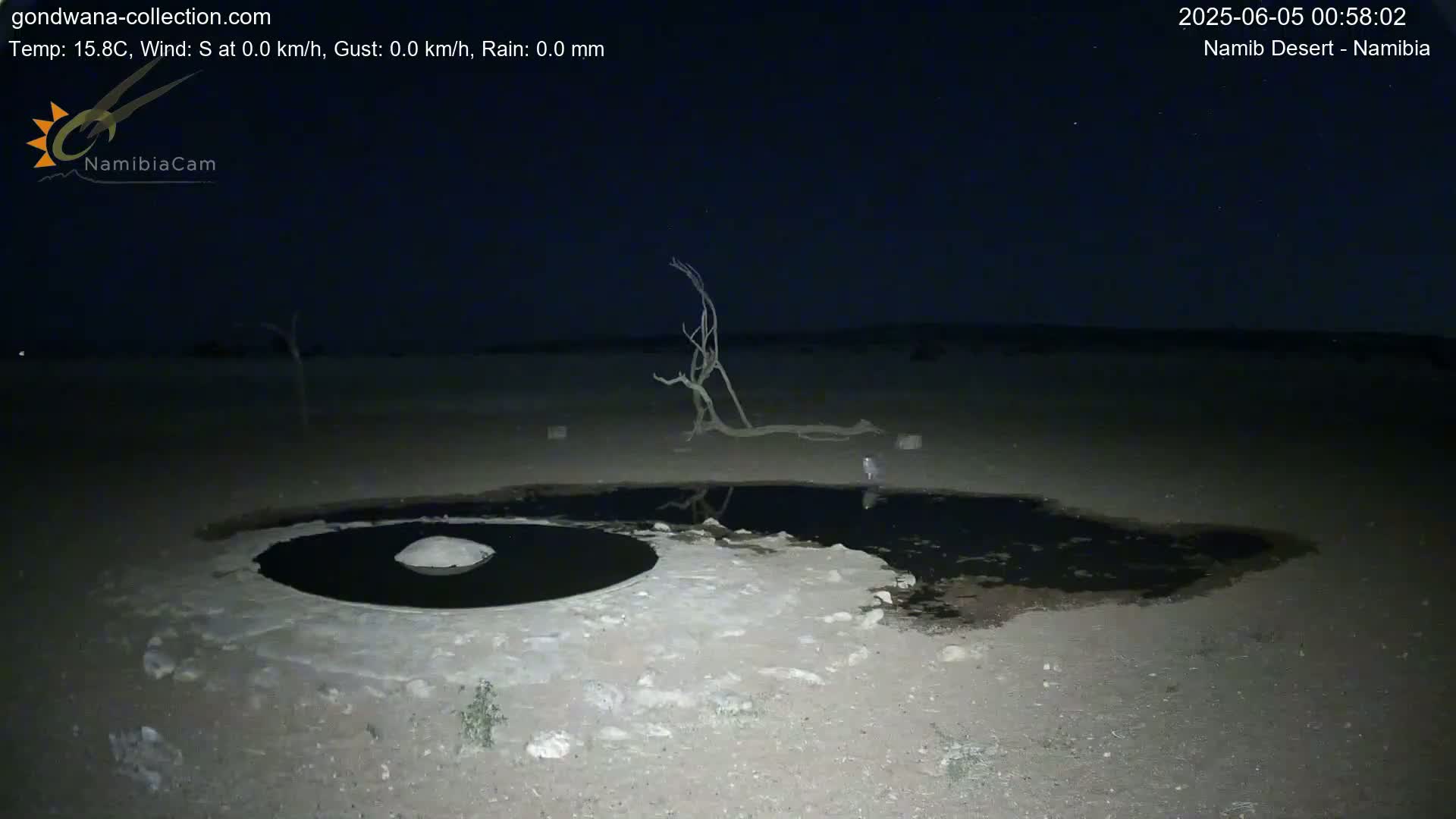 A dark, nighttime desert scene shows a small, dark pool of water surrounded by light-colored sand, with a dead tree in the background under a clear, starry sky.