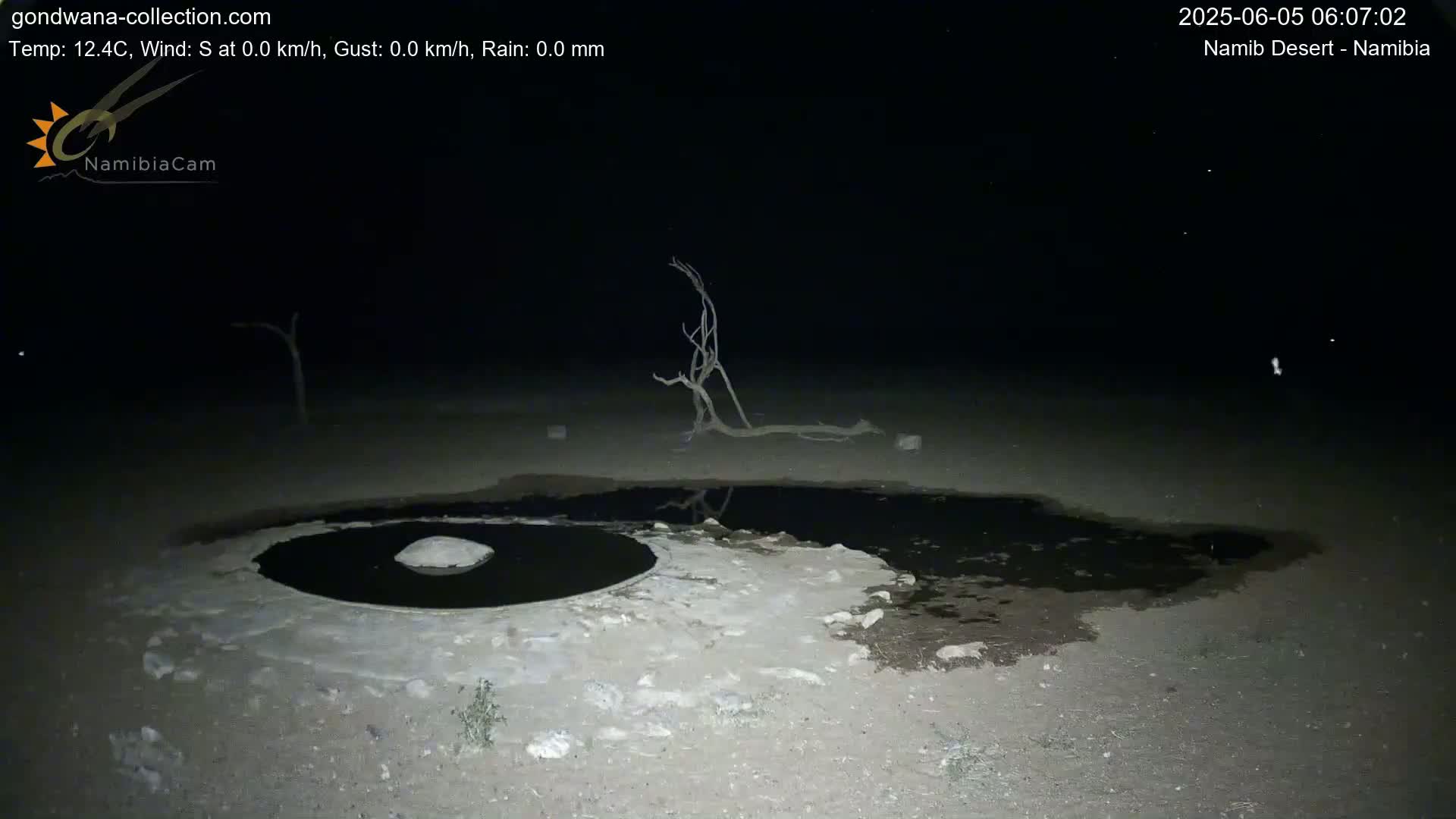 A dark, nighttime scene in the Namib Desert shows a shallow, dark pool of water surrounded by light-colored, sandy ground, with a dead tree in the background under a clear, starry sky.