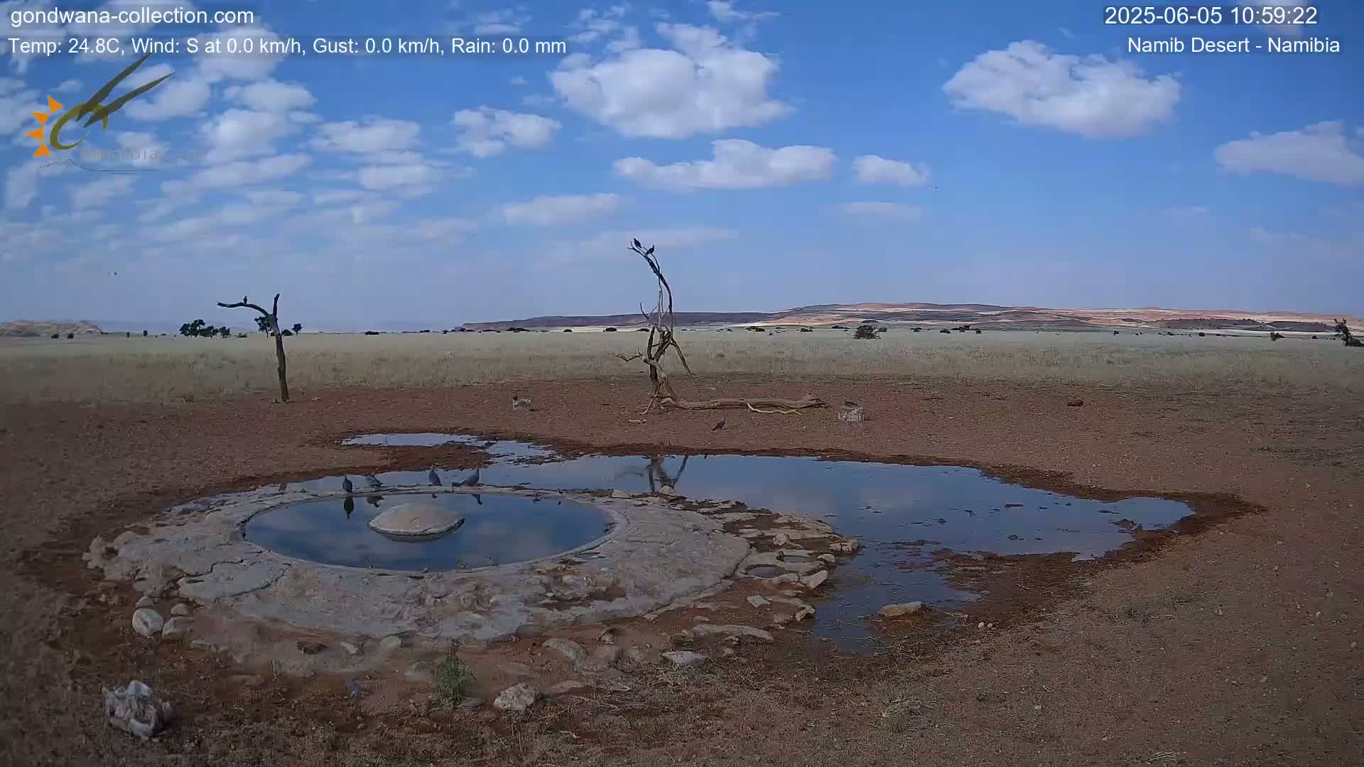 A partly cloudy blue sky over a dry, reddish-brown desert landscape features a watering hole with several birds around it and a dead tree.