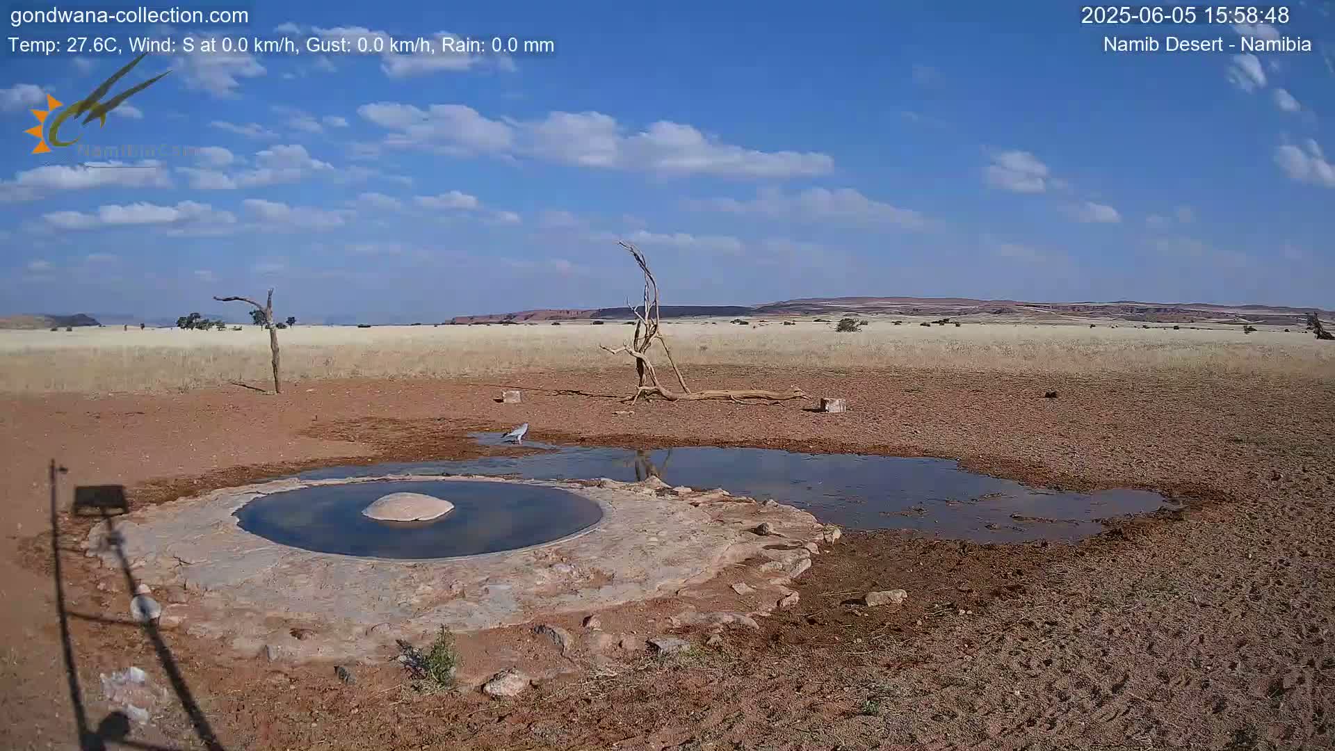 A bird stands near a small, circular pool of water in a dry, reddish-brown landscape under a mostly sunny sky with a few scattered clouds.