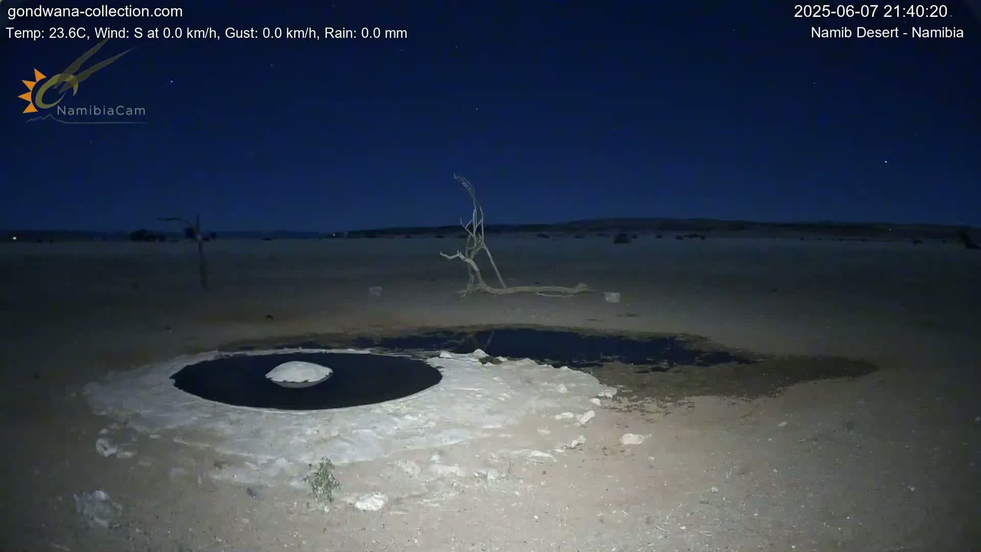 Under a dark night sky, a small, dark pool of water sits in a light-colored, sandy desert landscape next to a dead tree.