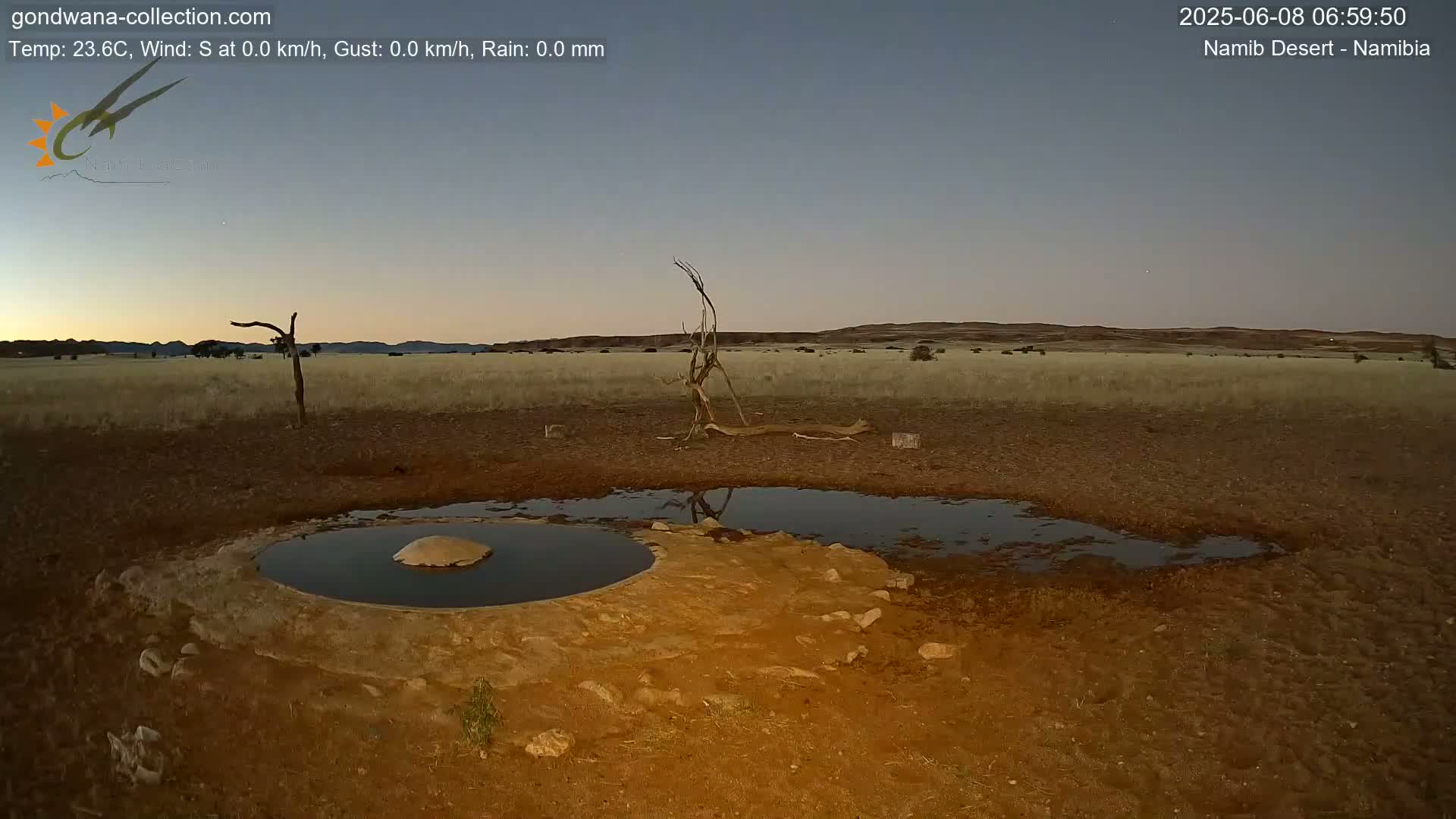 Wild Life in Namib Desert Naukluft National Park Live Cam - Maltahohe, Hardap,  Namibia