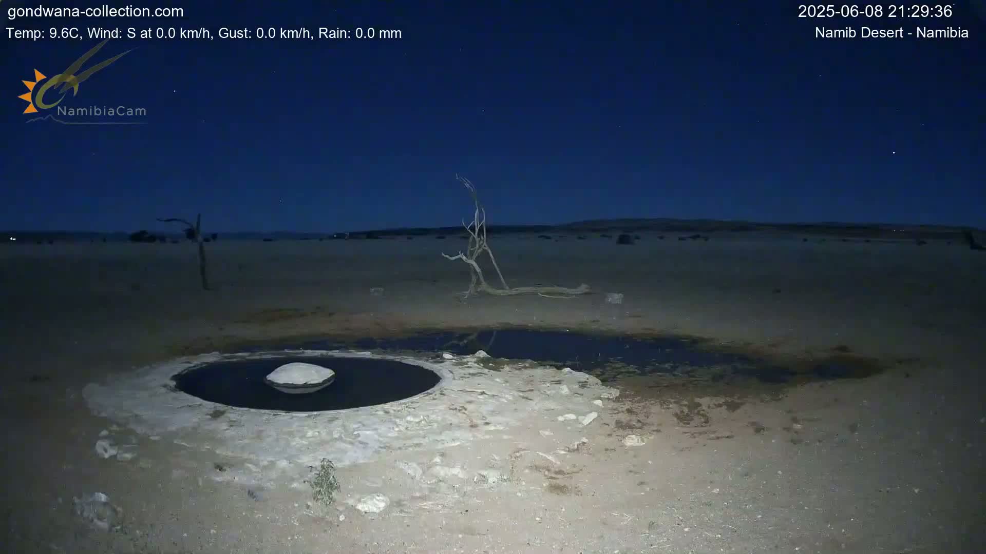 Wild Life in Namib Desert Naukluft National Park Live Cam - Maltahohe, Hardap,  Namibia