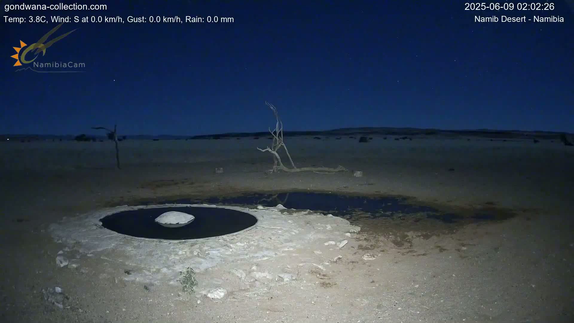 Wild Life in Namib Desert Naukluft National Park Live Cam - Maltahohe, Hardap,  Namibia