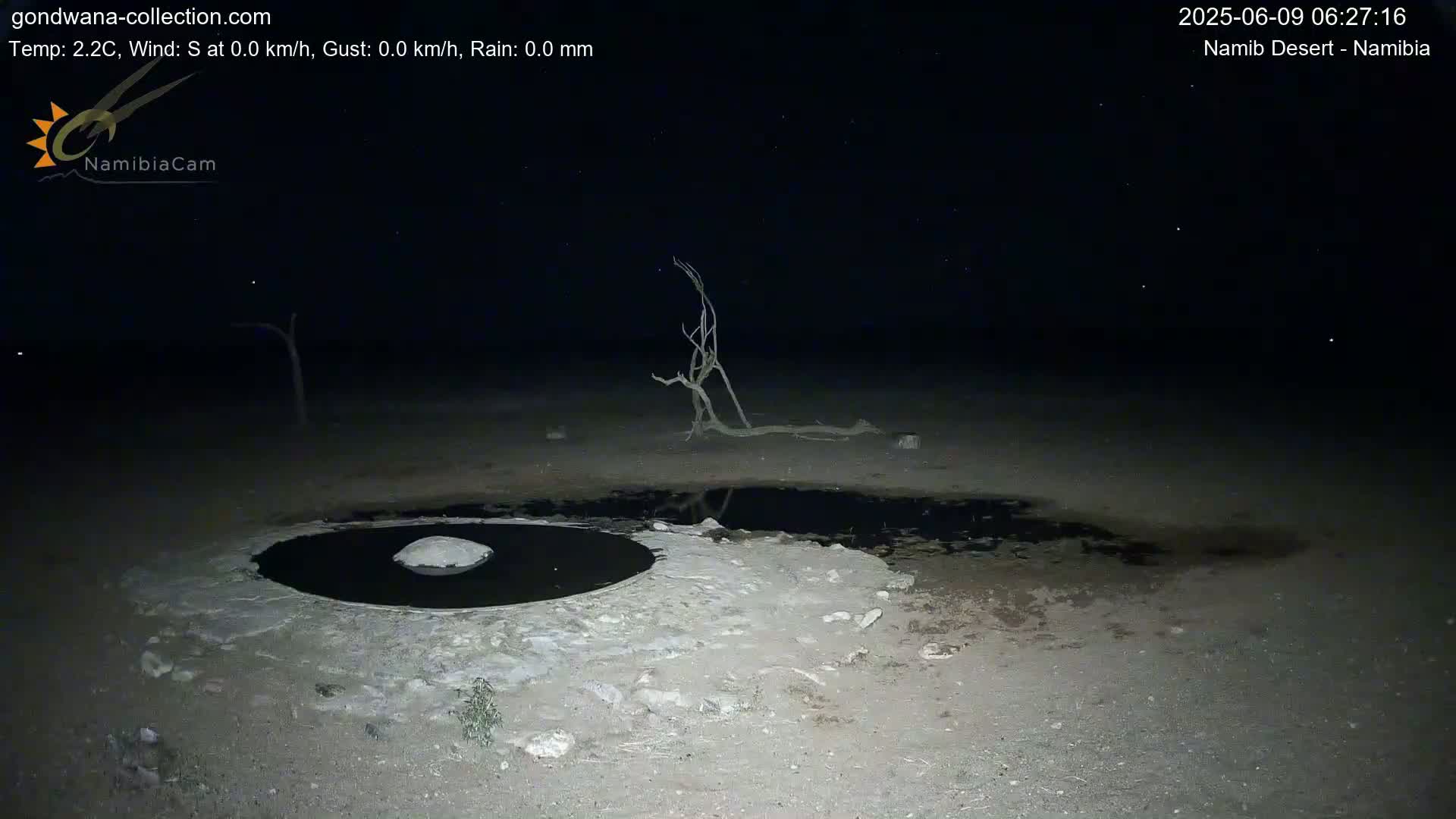 Wild Life in Namib Desert Naukluft National Park Live Cam - Maltahohe, Hardap,  Namibia