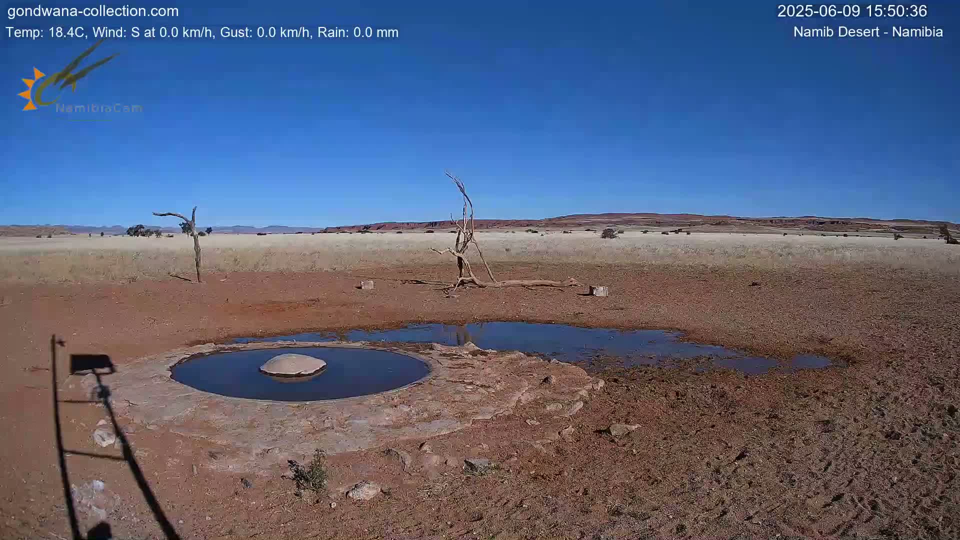 A mostly dry, arid landscape under a clear blue sky features a small, shallow pool of water surrounded by cracked, reddish-brown earth and a few scattered, dead trees.