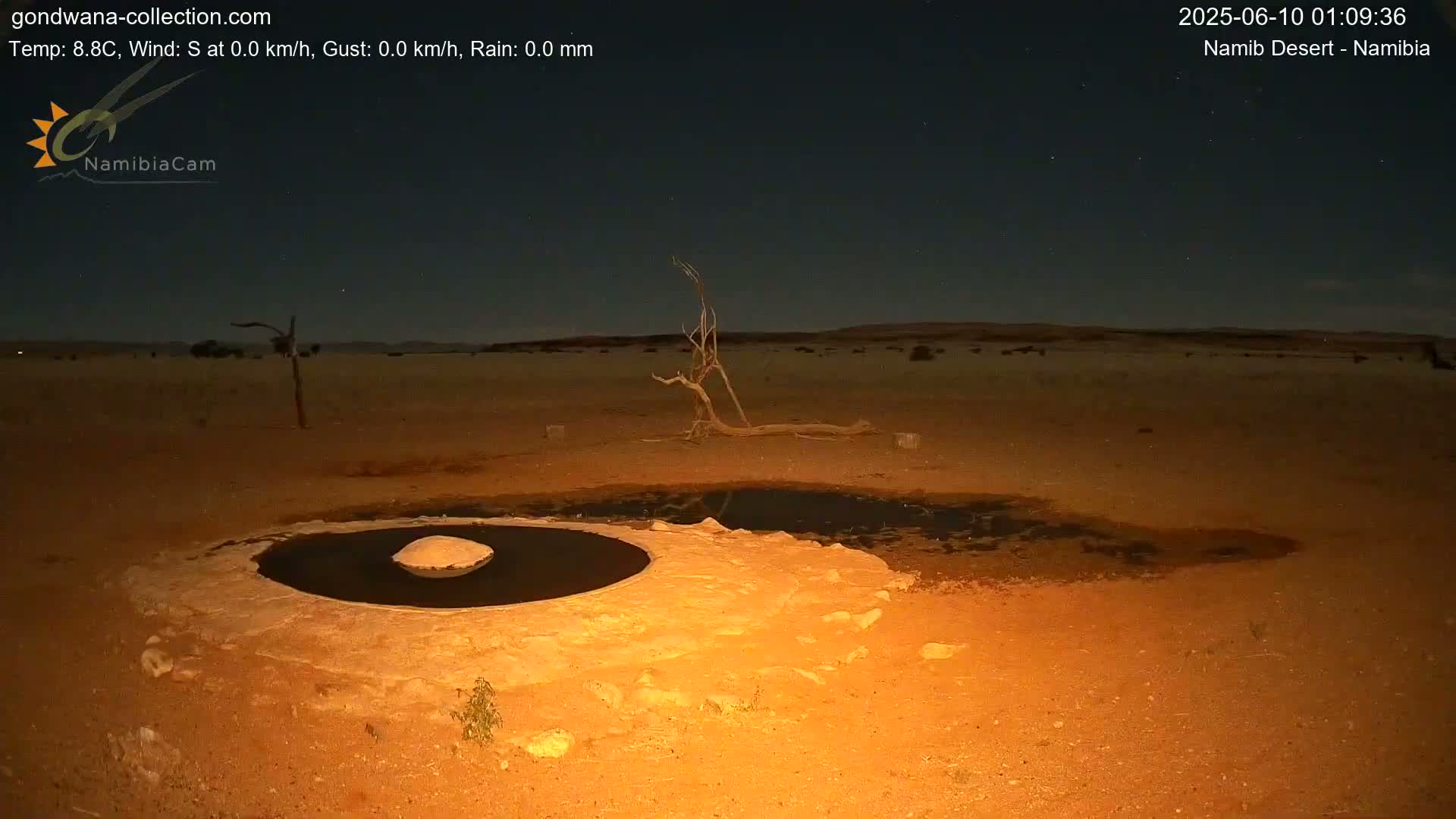 Wild Life in Namib Desert Naukluft National Park Live Cam - Maltahohe, Hardap,  Namibia