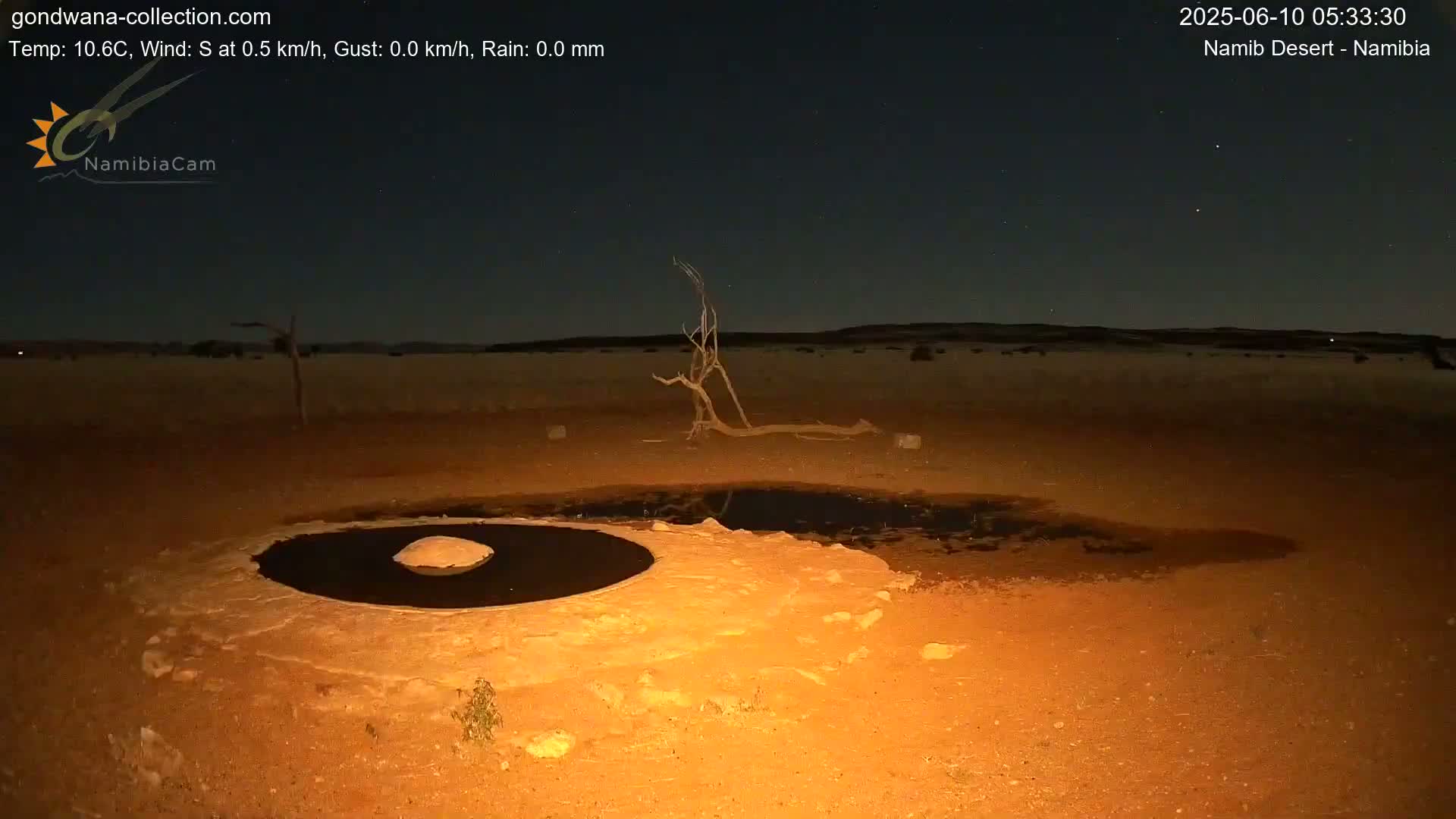Wild Life in Namib Desert Naukluft National Park Live Cam - Maltahohe, Hardap,  Namibia