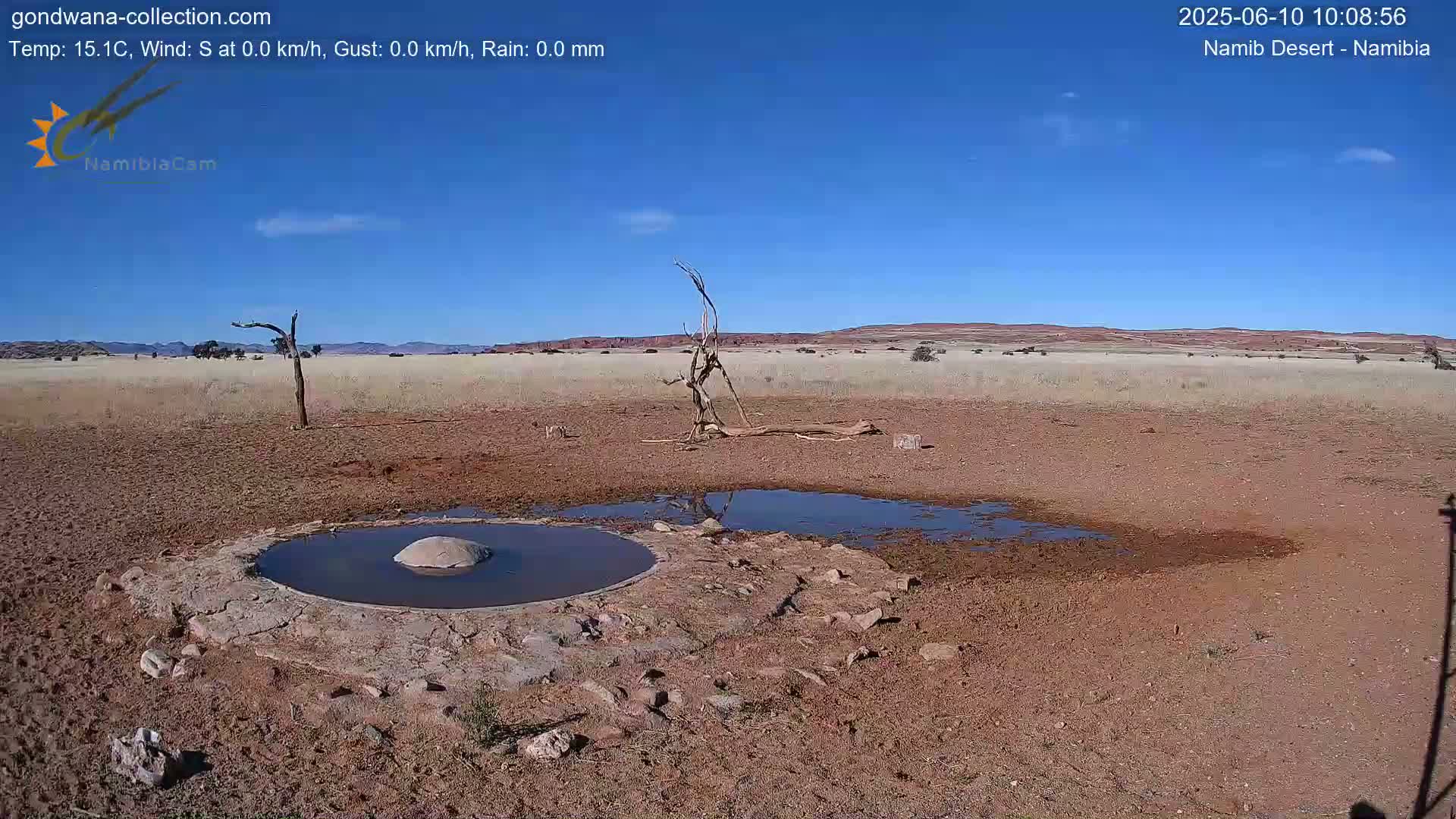 A mostly clear, sunny day reveals a dry, reddish-brown landscape featuring a small, circular waterhole surrounded by rocks and sparse vegetation, with a dead tree and distant mountains visible under a bright blue sky.