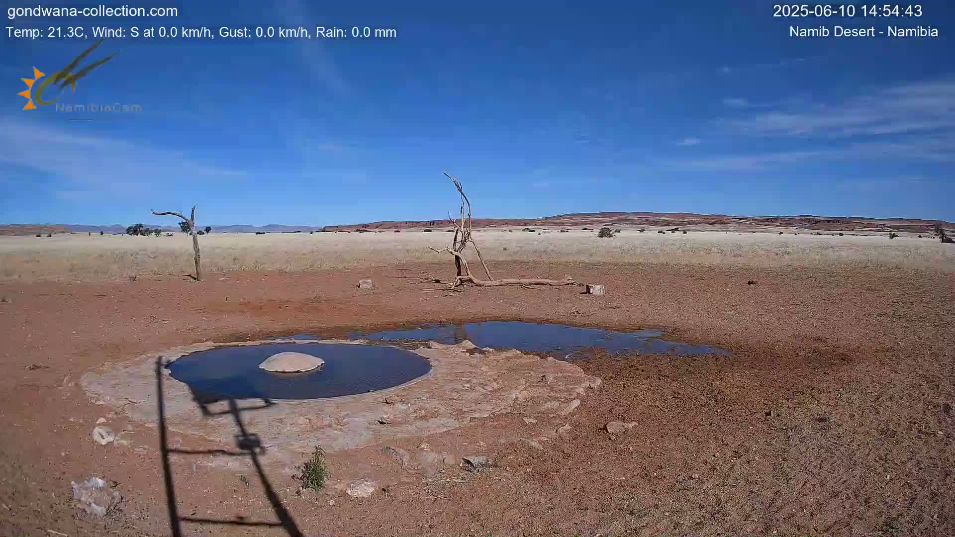 A mostly dry, reddish-brown landscape under a clear blue sky shows a small pool of water near a dead tree, with a distant, low-lying range of hills.