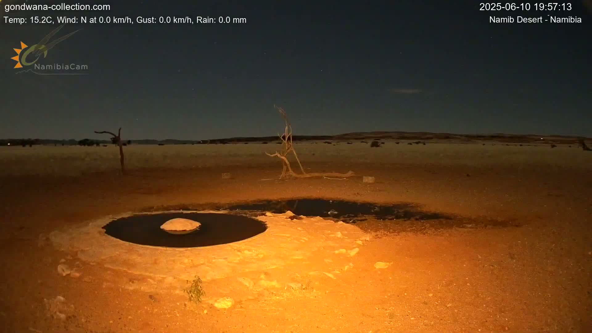 Under a clear night sky, a desert landscape shows a small, dark pool of water surrounded by light-colored sand and a few dead trees.