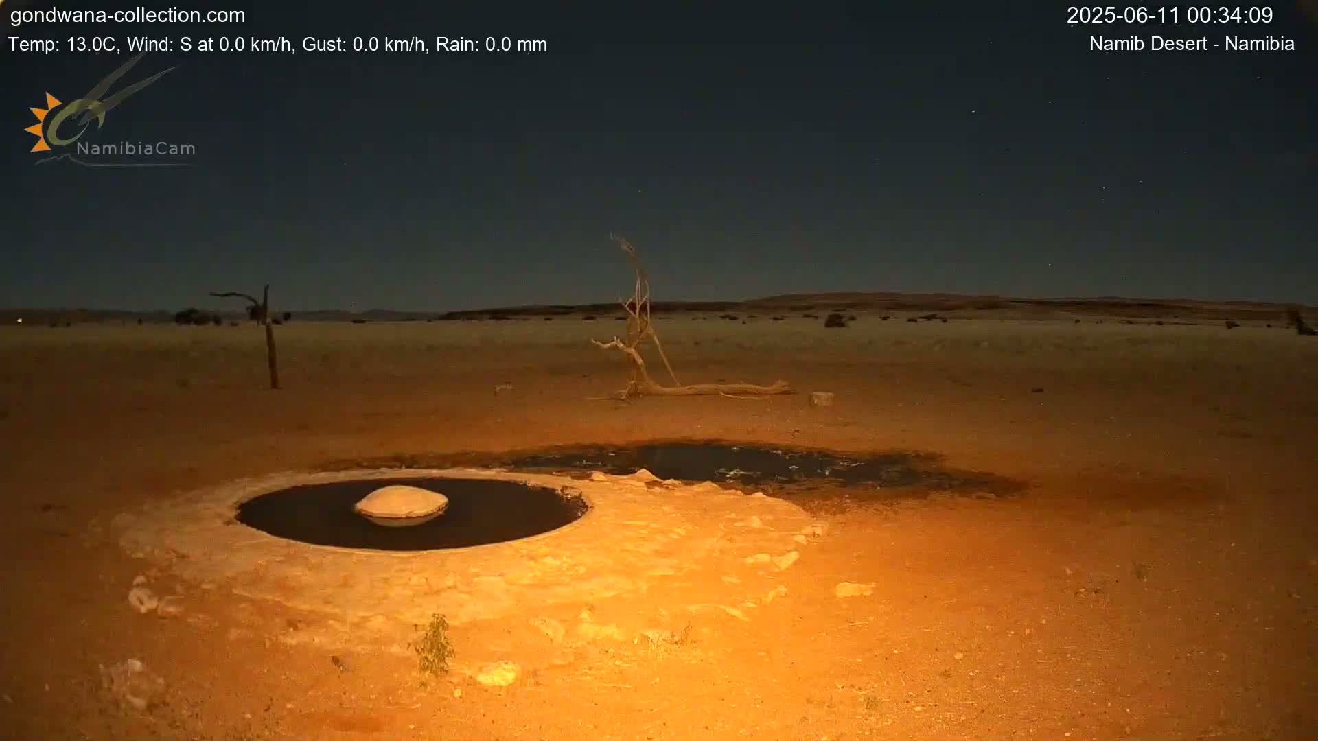 Wild Life in Namib Desert Naukluft National Park Live Cam - Maltahohe, Hardap,  Namibia