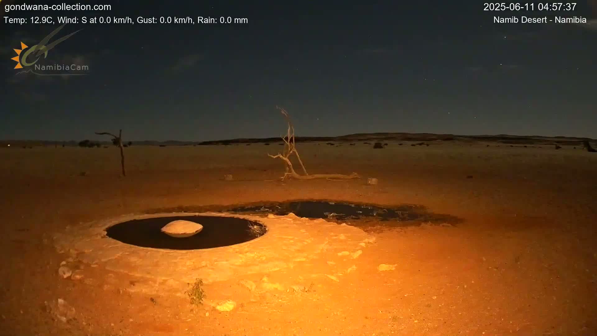 Wild Life in Namib Desert Naukluft National Park Live Cam - Maltahohe, Hardap,  Namibia