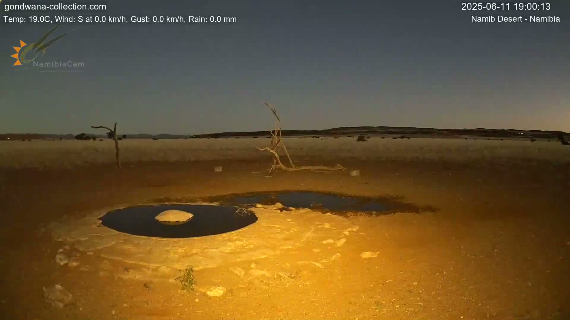 Under a twilight sky, a desert landscape shows a shallow pool of water near a dead tree and sparse vegetation.
