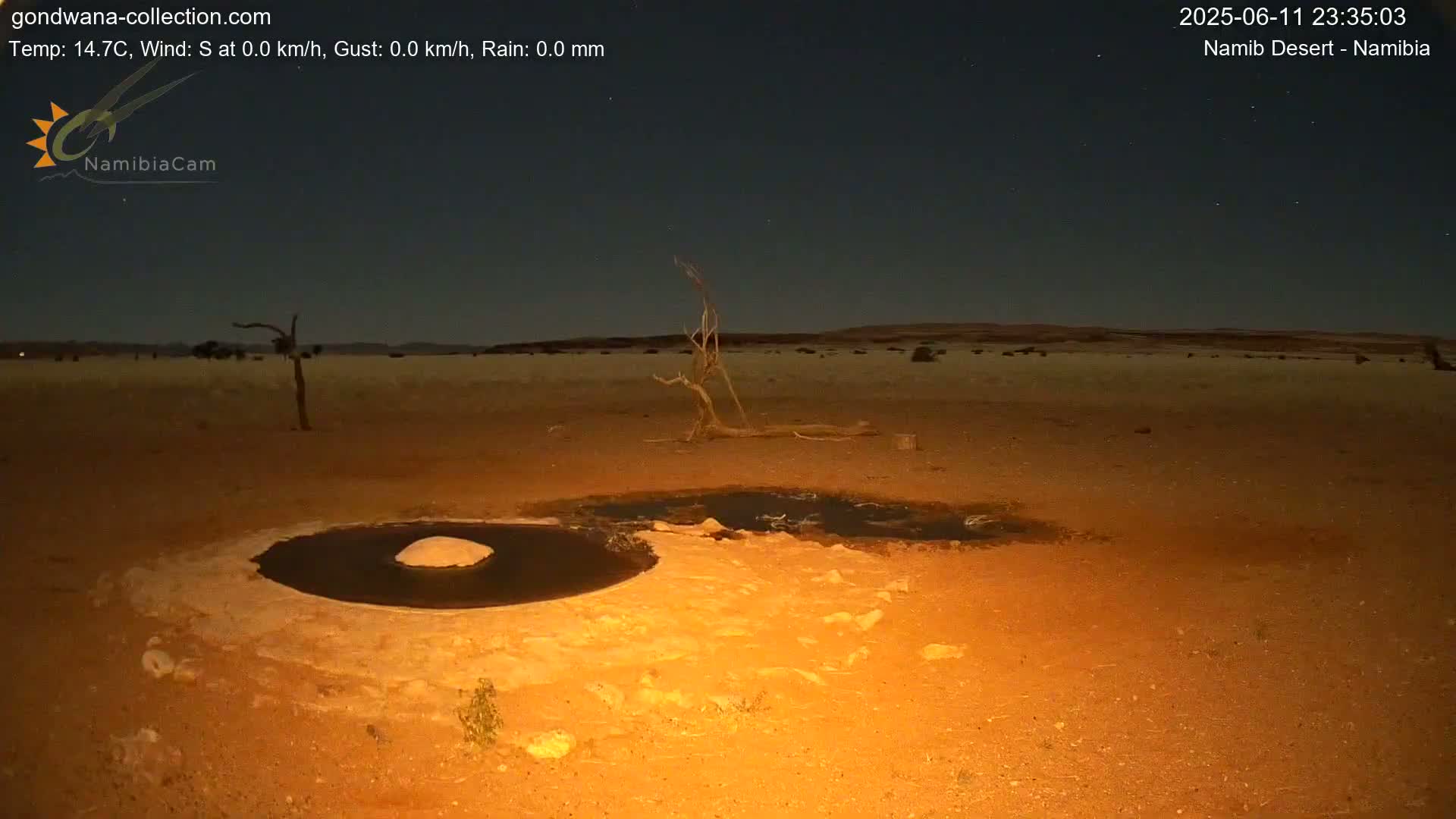 Wild Life in Namib Desert Naukluft National Park Live Cam - Maltahohe, Hardap,  Namibia