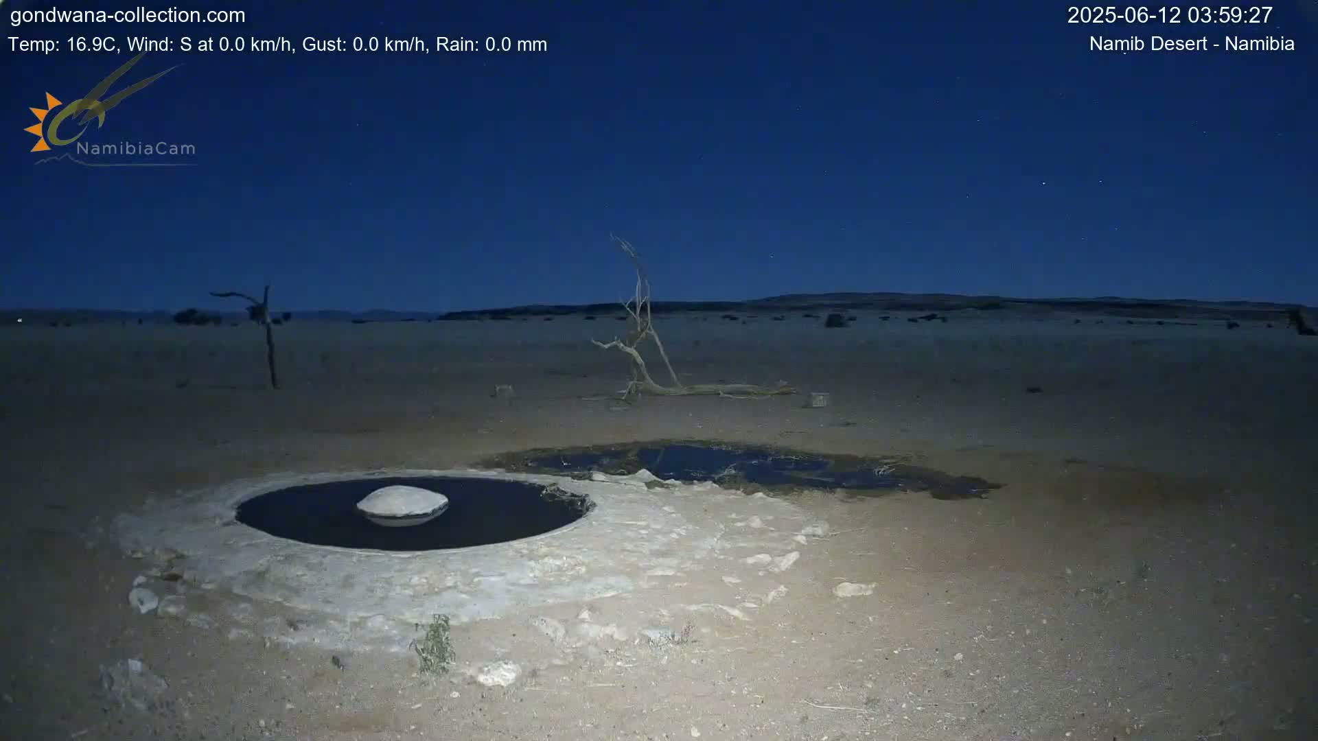 Wild Life in Namib Desert Naukluft National Park Live Cam - Maltahohe, Hardap,  Namibia