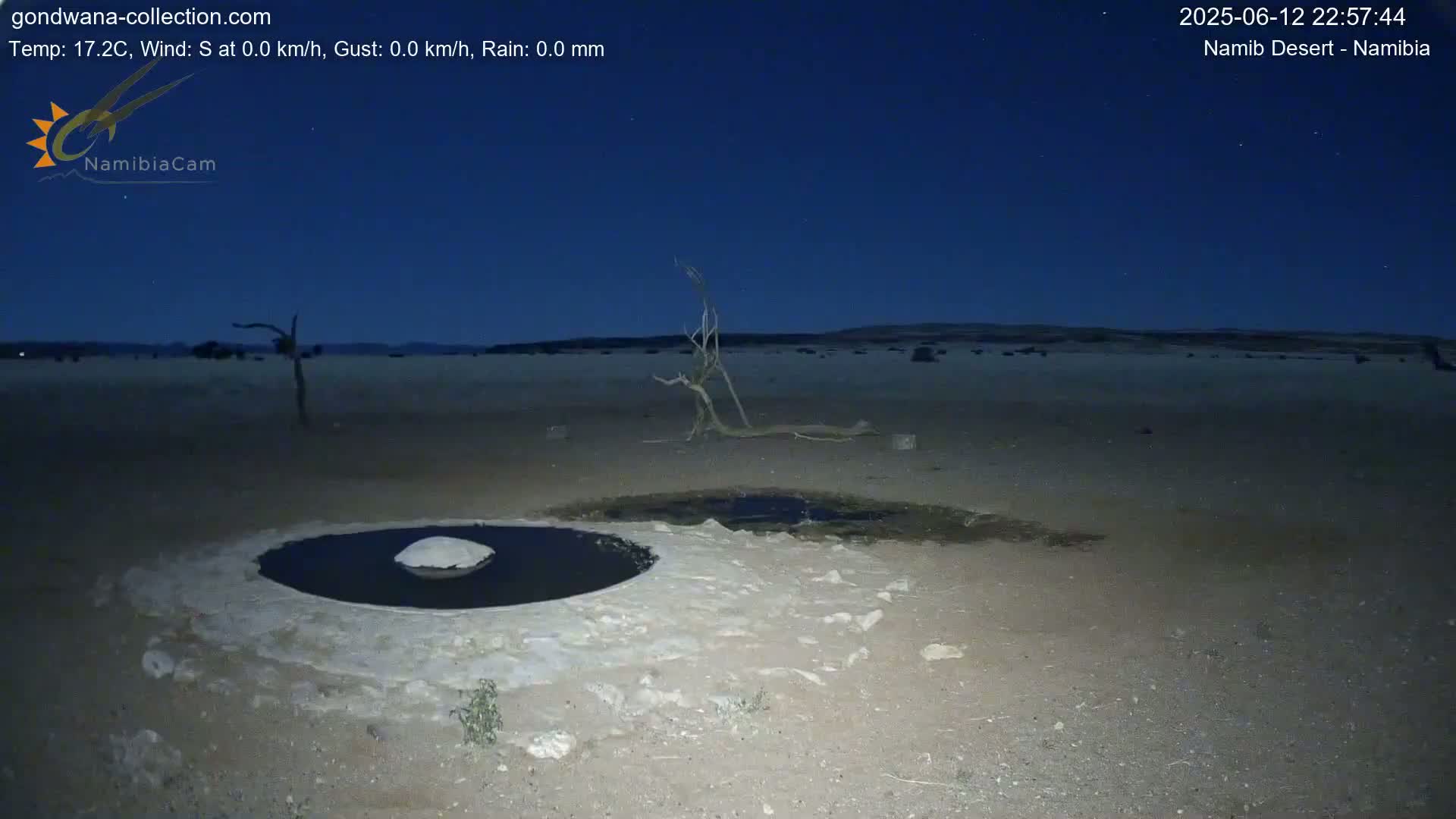 Wild Life in Namib Desert Naukluft National Park Live Cam - Maltahohe, Hardap,  Namibia