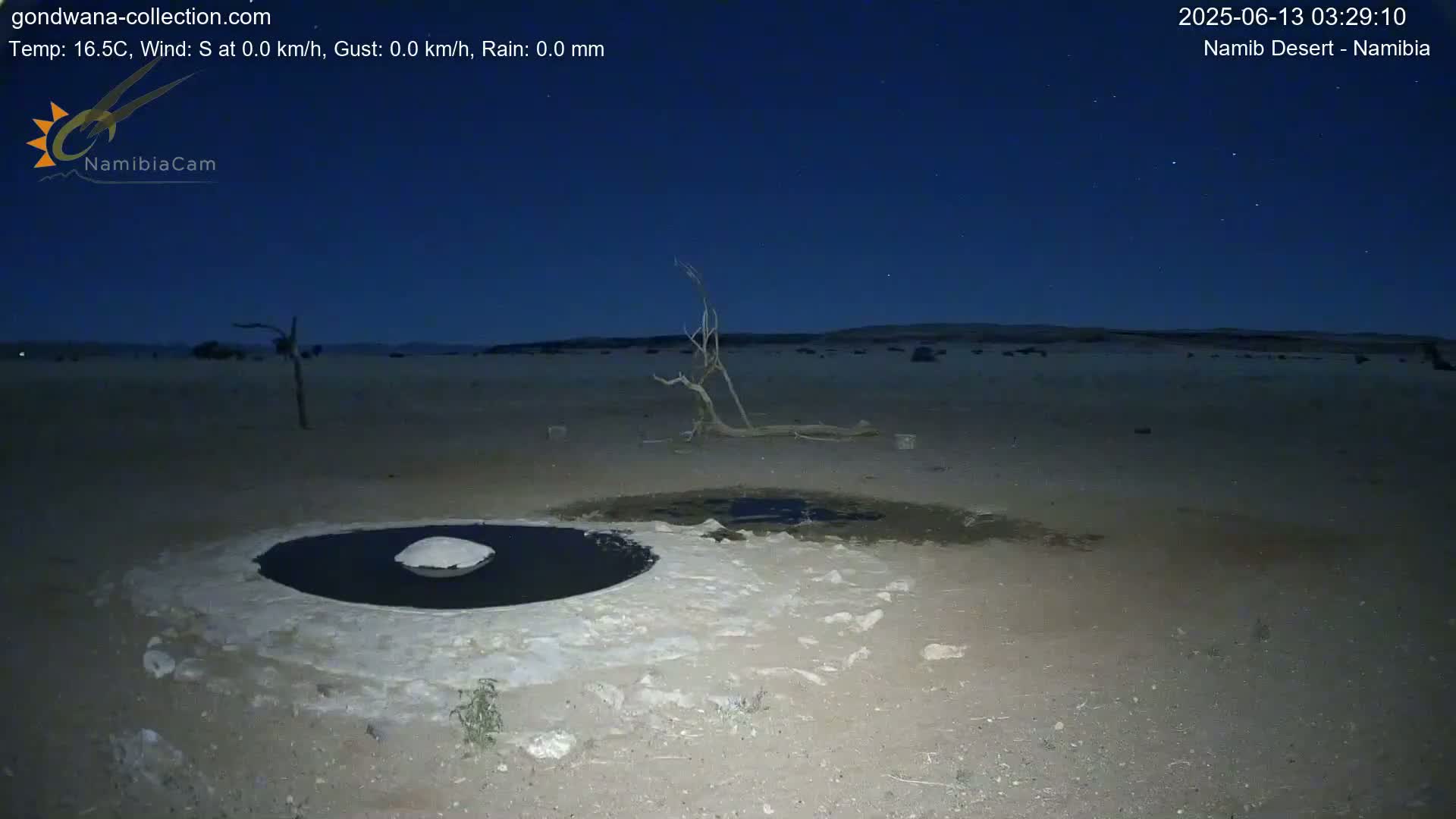 Wild Life in Namib Desert Naukluft National Park Live Cam - Maltahohe, Hardap,  Namibia