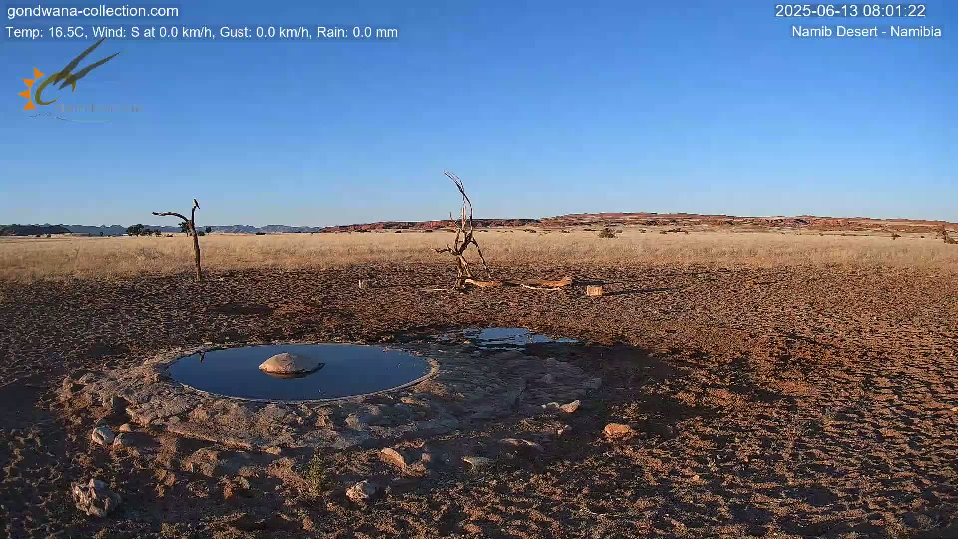 Wild Life in Namib Desert Naukluft National Park Live Cam - Maltahohe, Hardap,  Namibia