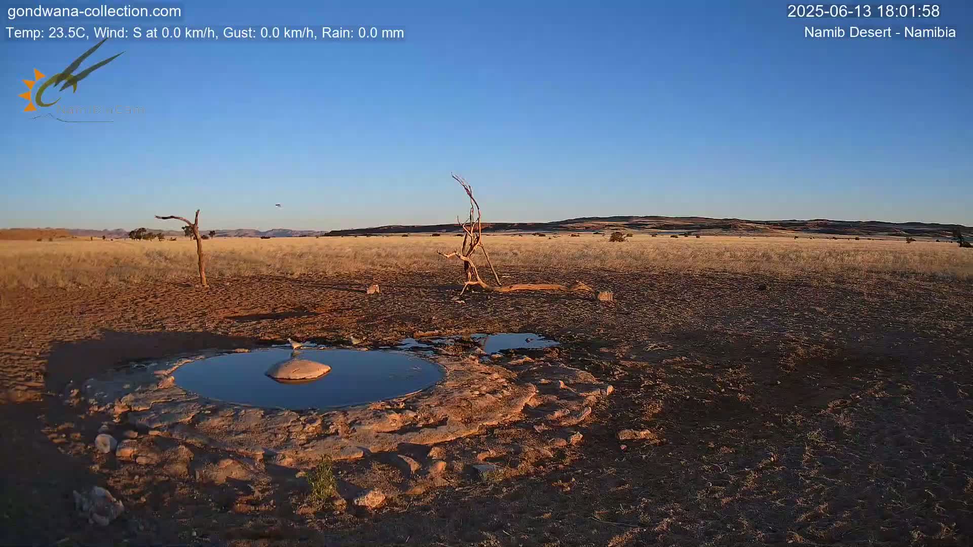 A small, dark pool of water sits in a shallow, rocky depression in a dry, tan-colored desert under a clear blue sky.