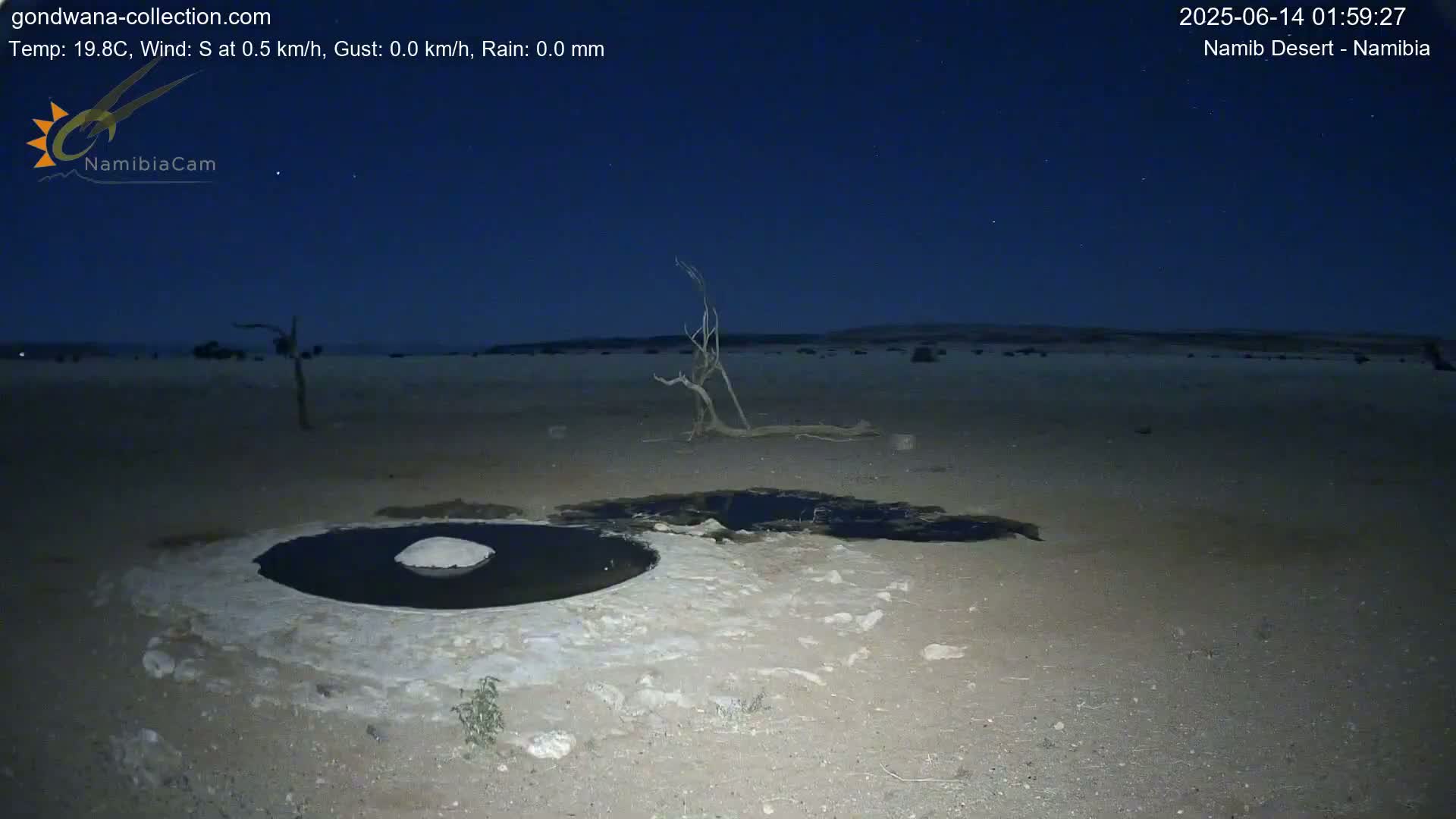 Wild Life in Namib Desert Naukluft National Park Live Cam - Maltahohe, Hardap,  Namibia