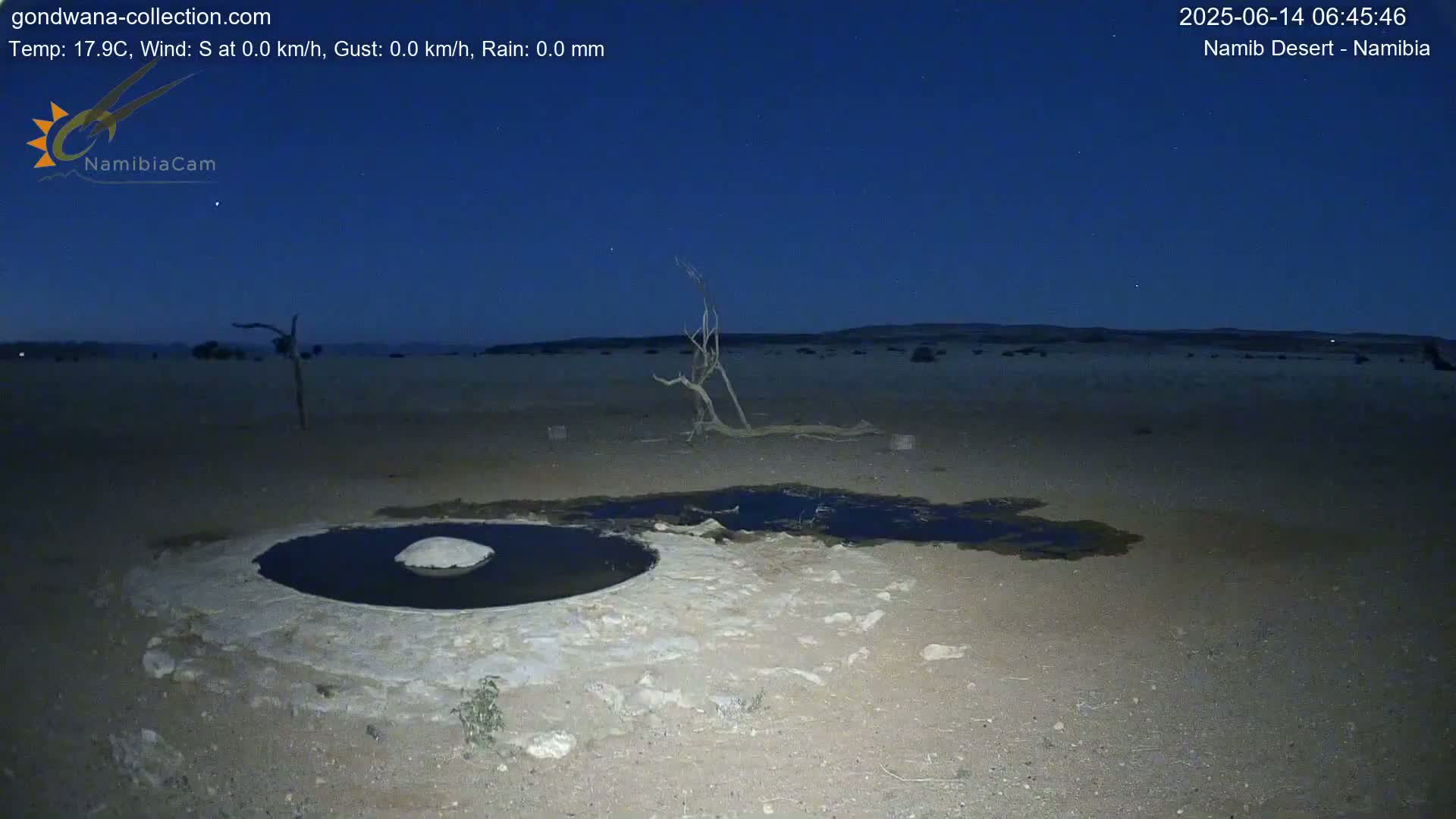 Wild Life in Namib Desert Naukluft National Park Live Cam - Maltahohe, Hardap,  Namibia