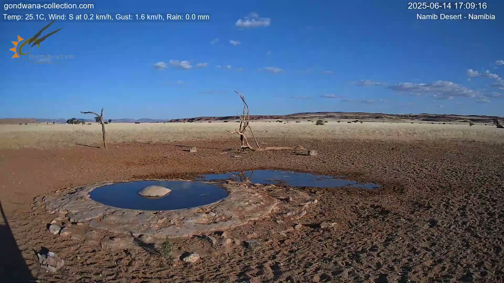Under a mostly clear blue sky, a dry, reddish-brown desert landscape features a small, dark pool of water surrounded by cracked earth, with a few sparse bushes and a dead tree in the foreground.