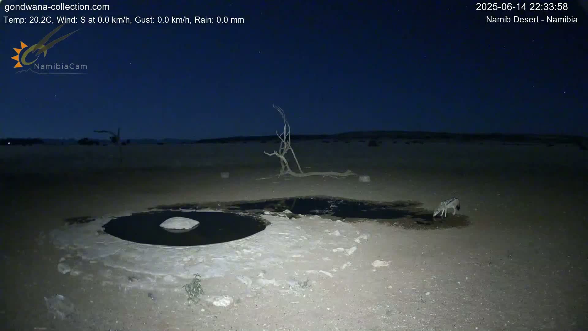Under a mostly clear blue sky, a dry, reddish-brown desert landscape features a small, dark pool of water surrounded by cracked earth, with a few sparse bushes and a dead tree in the foreground.
