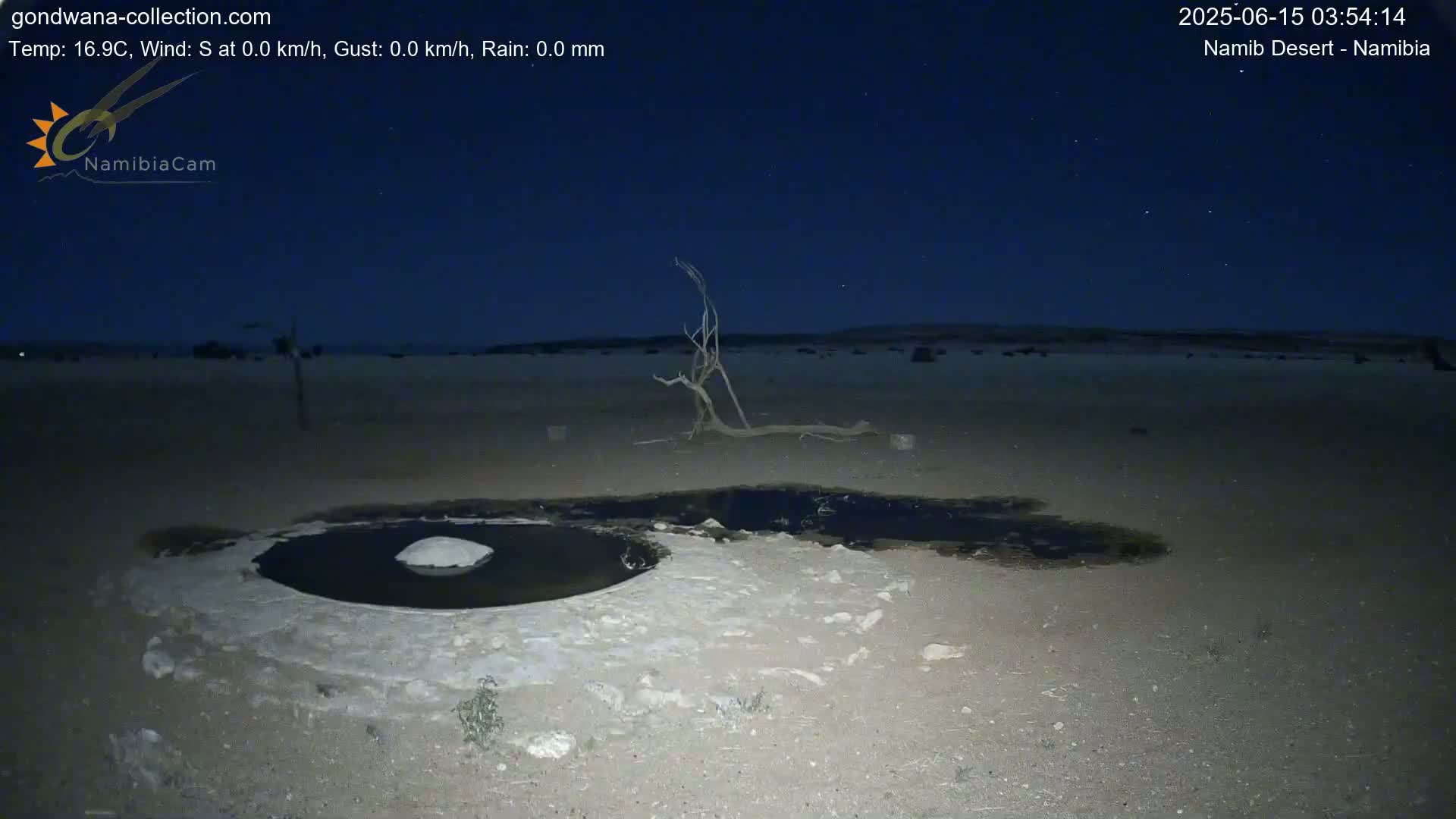 Wild Life in Namib Desert Naukluft National Park Live Cam - Maltahohe, Hardap,  Namibia