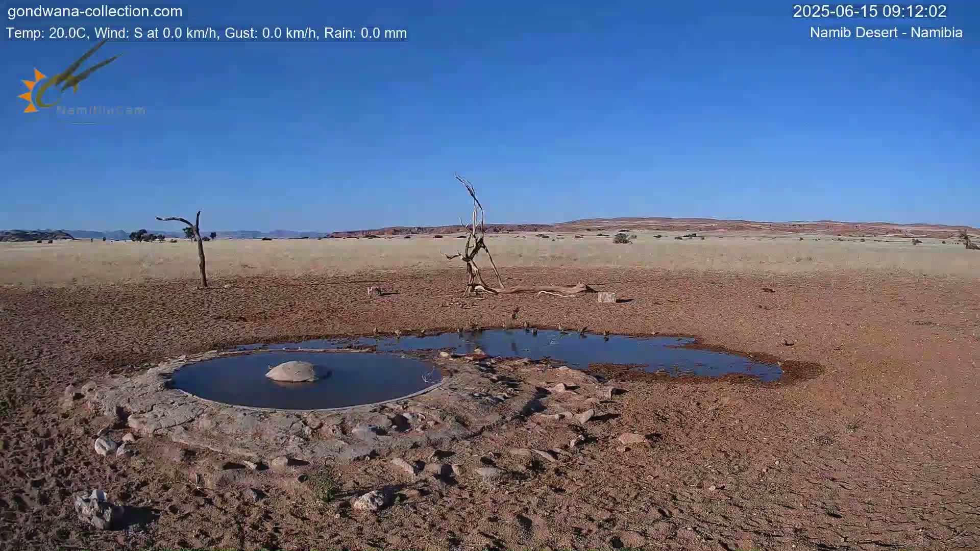 A small, round waterhole surrounded by dry, reddish-brown earth is seen in a desert landscape under a clear blue sky.