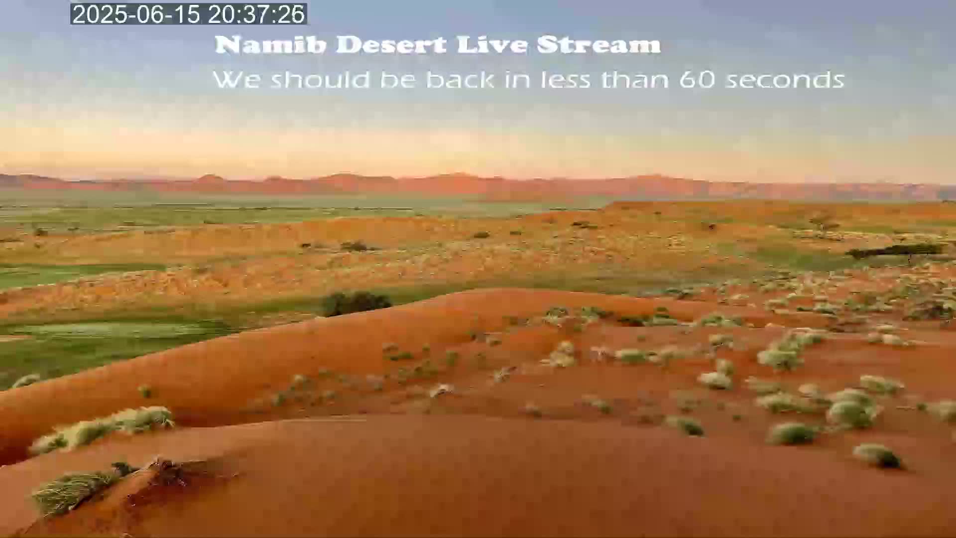 Wild Life in Namib Desert Naukluft National Park Live Cam - Maltahohe, Hardap,  Namibia