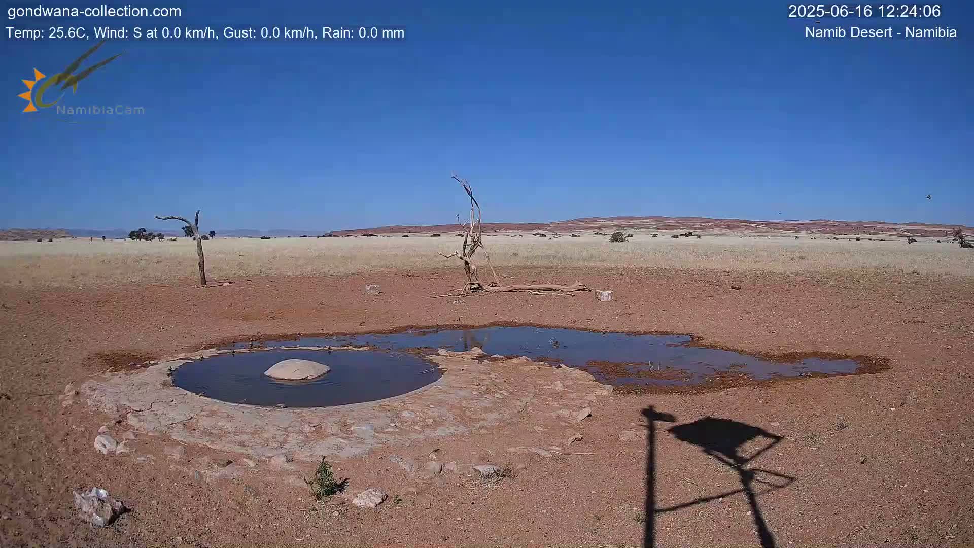 A small, shallow pool of water sits in a dry, reddish-brown landscape under a clear blue sky.