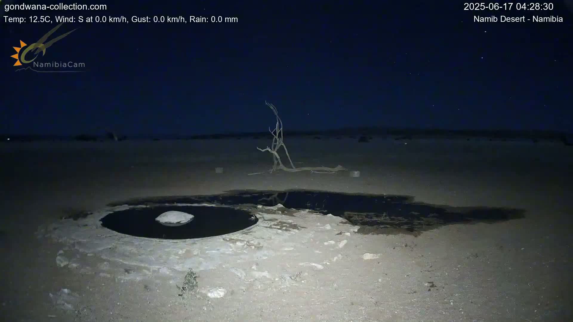 Wild Life in Namib Desert Naukluft National Park Live Cam - Maltahohe, Hardap,  Namibia