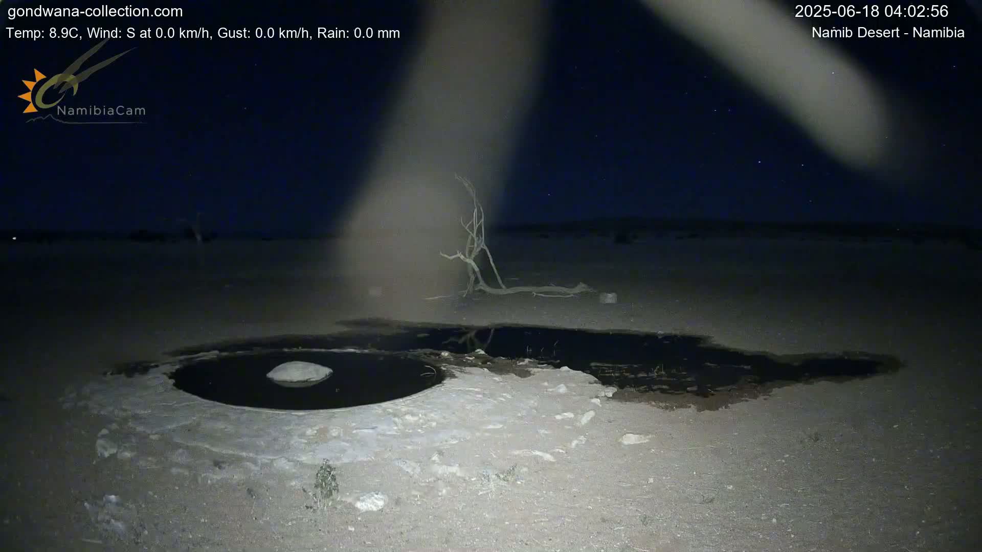 Wild Life in Namib Desert Naukluft National Park Live Cam - Maltahohe, Hardap,  Namibia