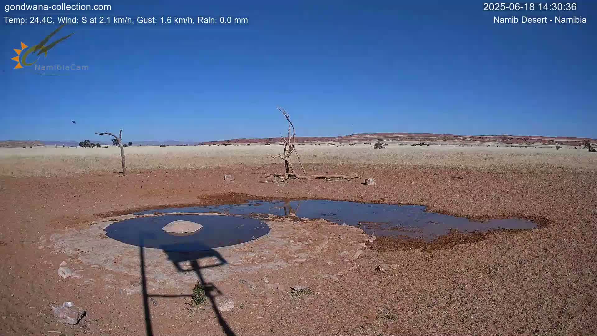 A dry, reddish-brown landscape under a clear blue sky features a small, shallow pool of water near a dead tree.