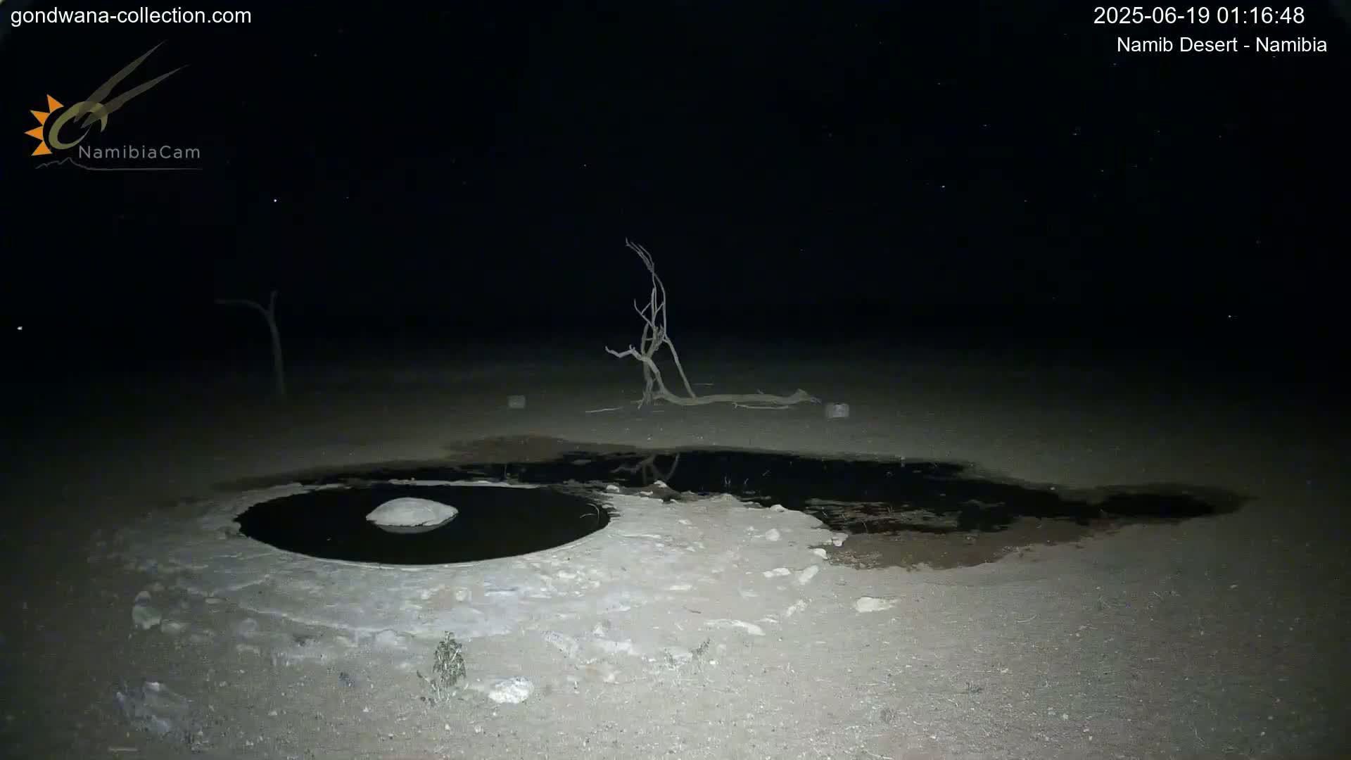 Wild Life in Namib Desert Naukluft National Park Live Cam - Maltahohe, Hardap,  Namibia