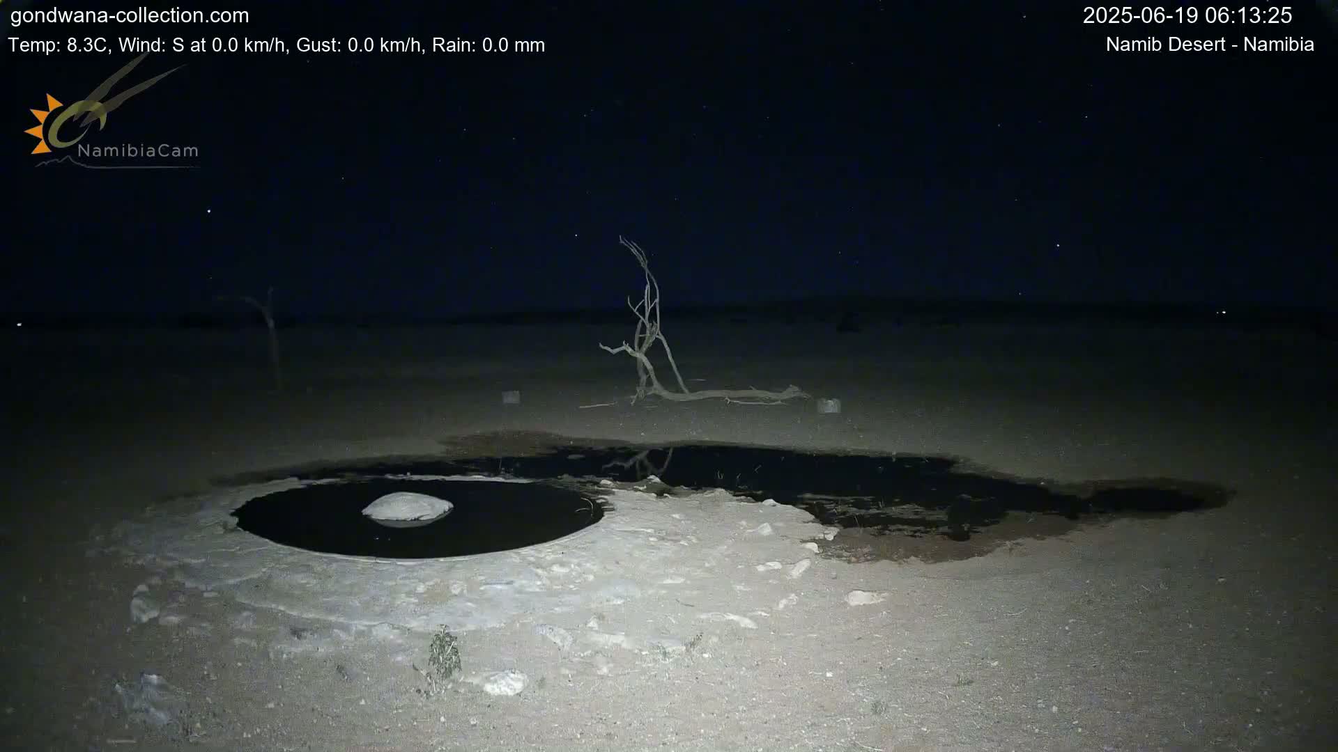Wild Life in Namib Desert Naukluft National Park Live Cam - Maltahohe, Hardap,  Namibia
