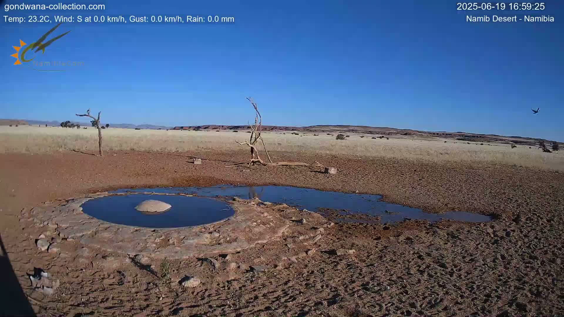 A small, shallow pool of water sits in a dry, reddish-brown landscape under a clear blue sky.