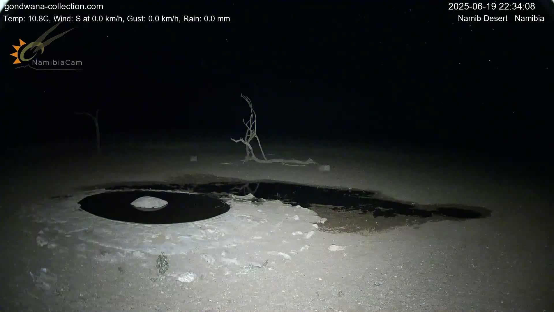 Wild Life in Namib Desert Naukluft National Park Live Cam - Maltahohe, Hardap,  Namibia