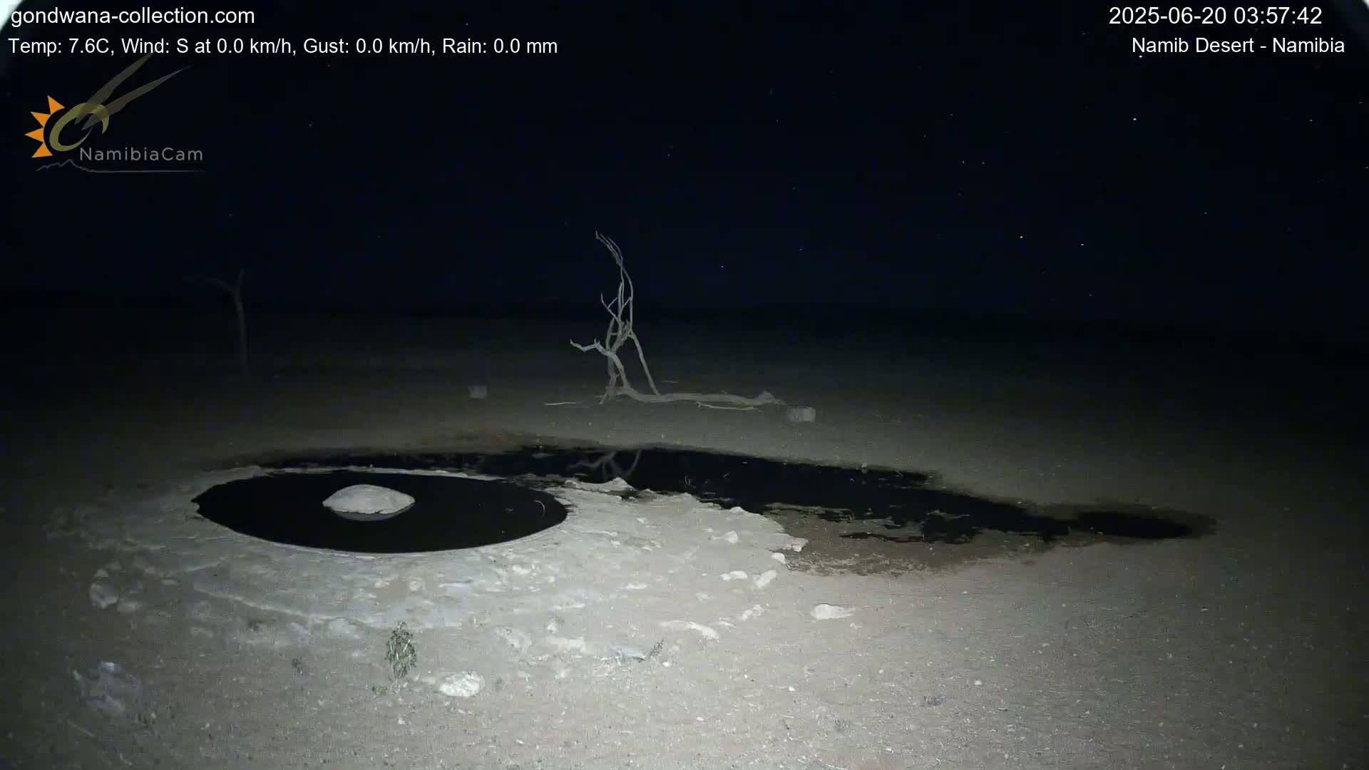 Wild Life in Namib Desert Naukluft National Park Live Cam - Maltahohe, Hardap,  Namibia