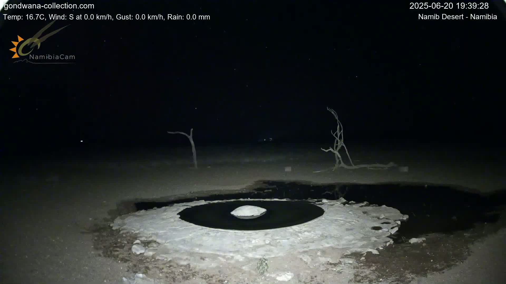 Under a clear, starry night sky, a dark pool of water surrounded by a ring of light-colored, possibly salt-encrusted, earth contains a single, light-colored rock in its center, with dead trees visible in the background.