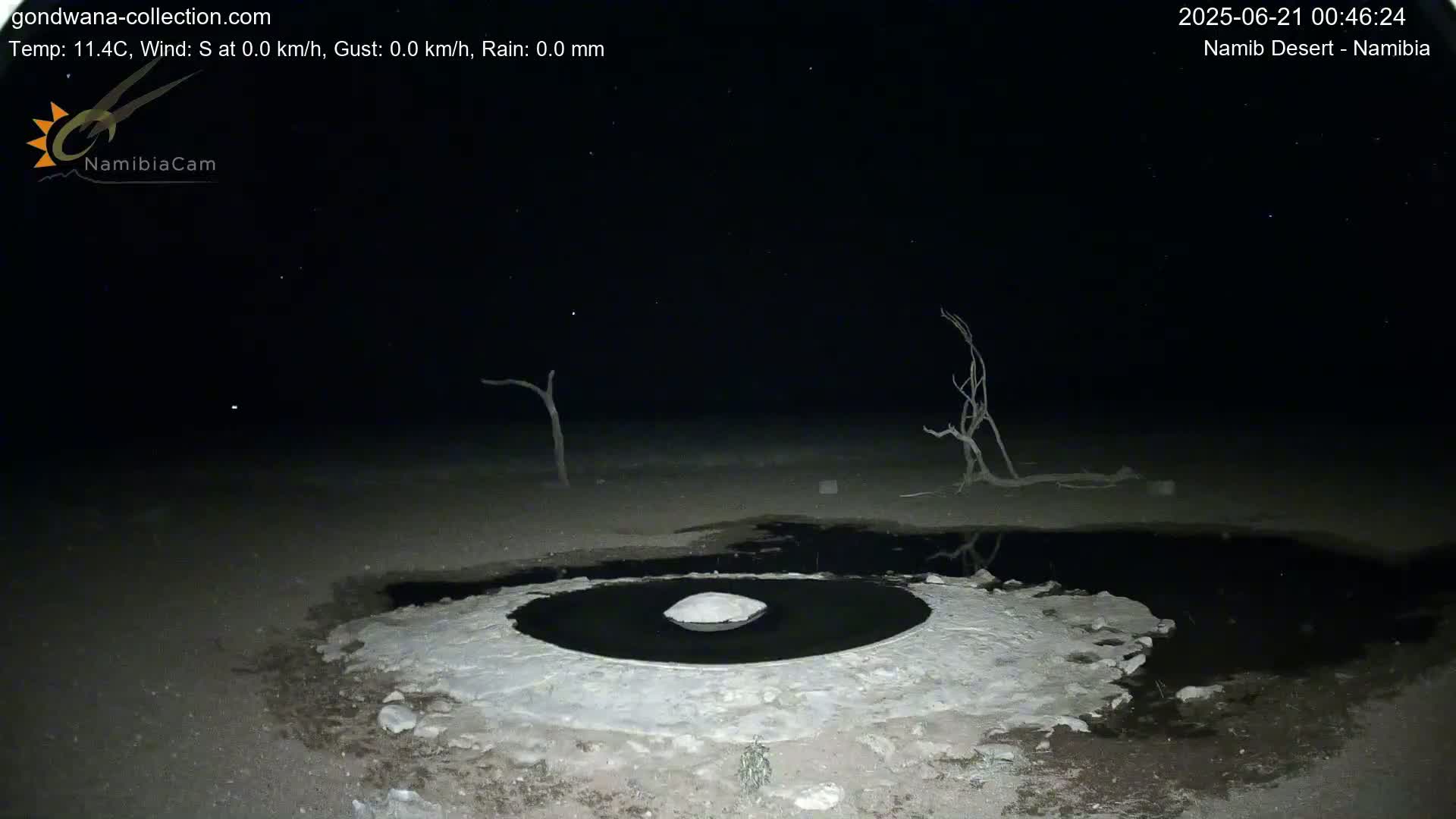 Wild Life in Namib Desert Naukluft National Park Live Cam - Maltahohe, Hardap,  Namibia