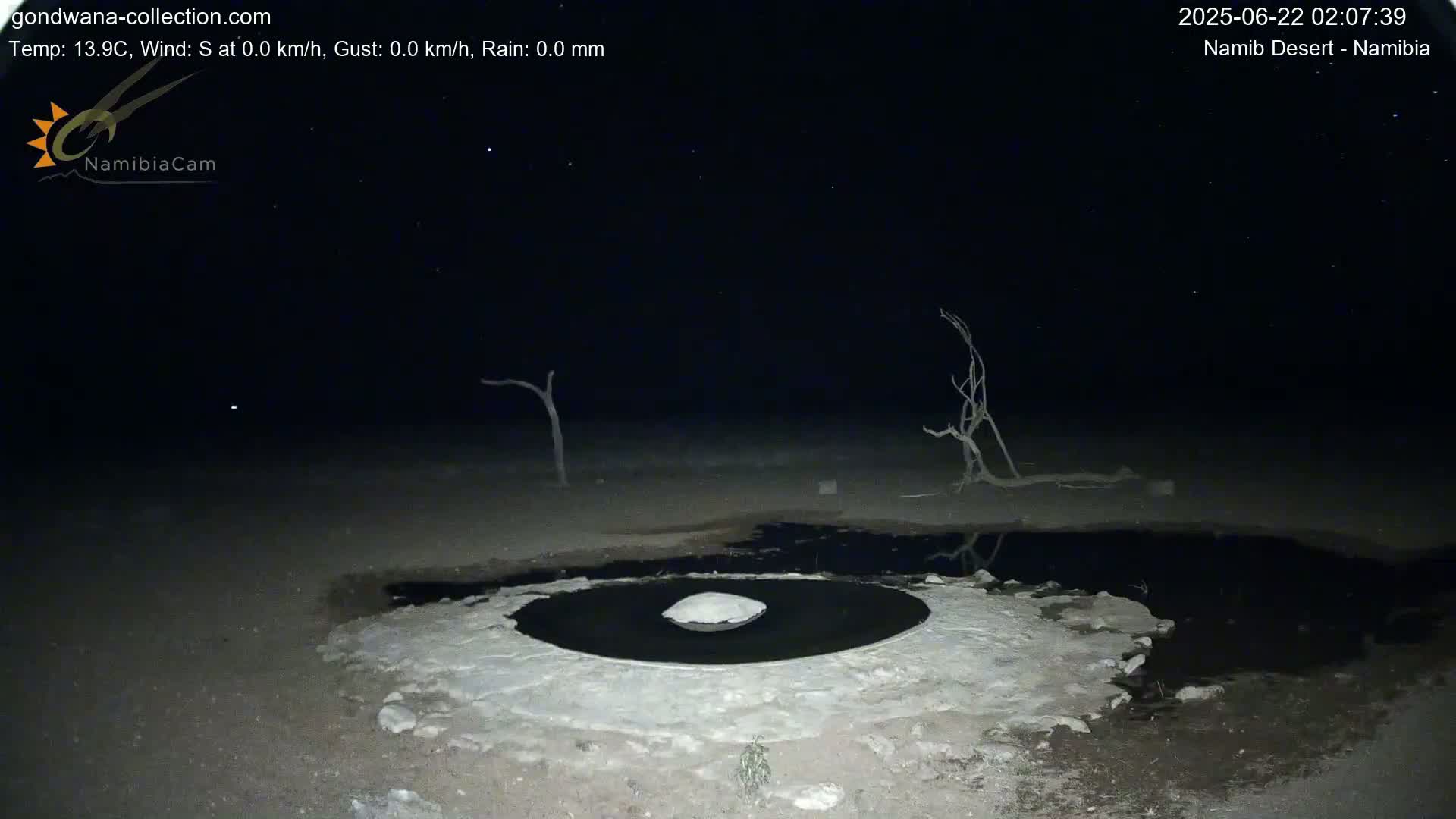 Wild Life in Namib Desert Naukluft National Park Live Cam - Maltahohe, Hardap,  Namibia