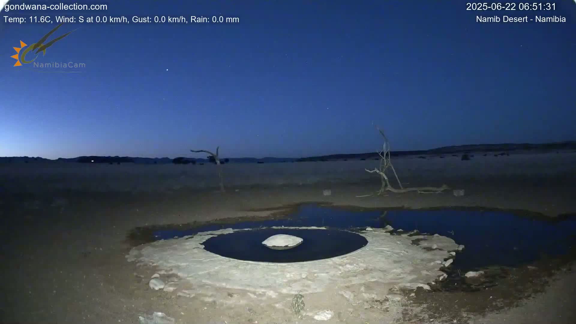 Wild Life in Namib Desert Naukluft National Park Live Cam - Maltahohe, Hardap,  Namibia