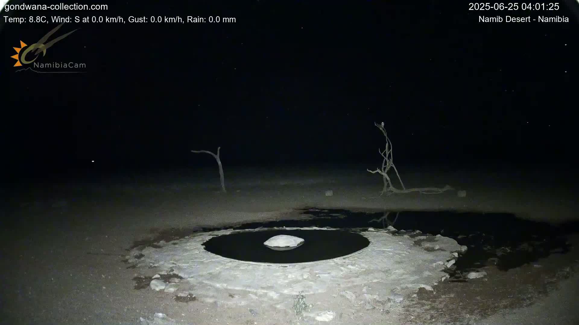 Wild Life in Namib Desert Naukluft National Park Live Cam - Maltahohe, Hardap,  Namibia