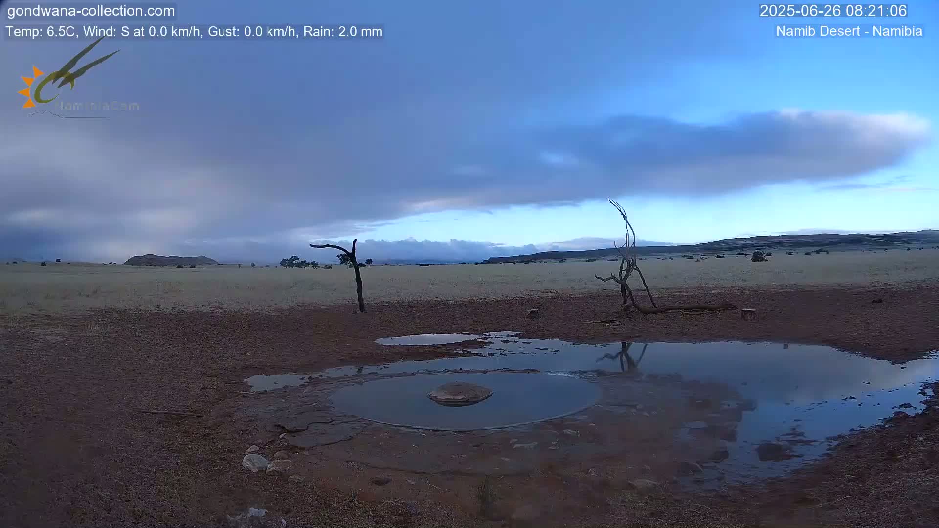 Wild Life in Namib Desert Naukluft National Park Live Cam - Maltahohe, Hardap,  Namibia