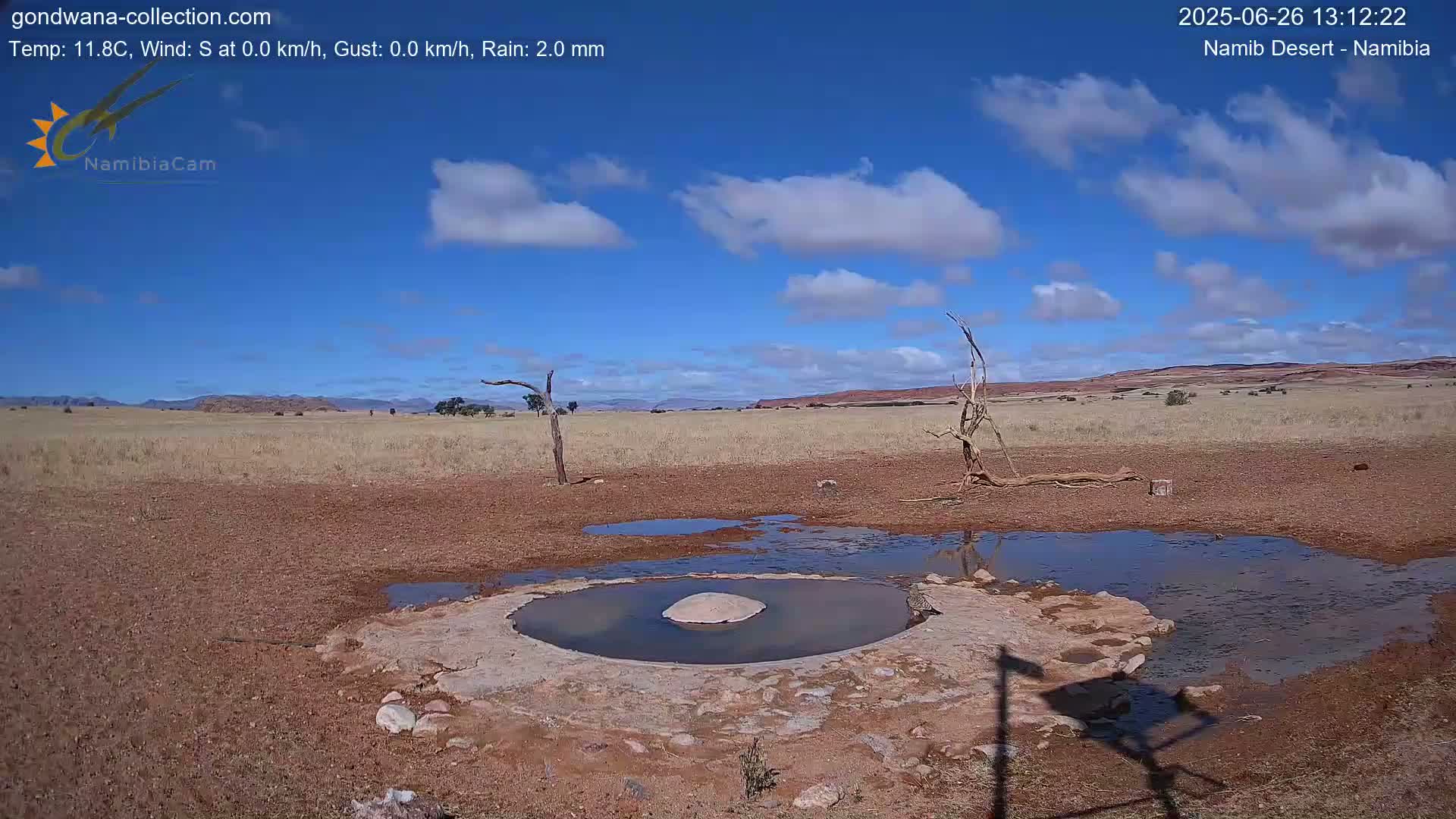 Wild Life in Namib Desert Naukluft National Park Live Cam - Maltahohe, Hardap,  Namibia