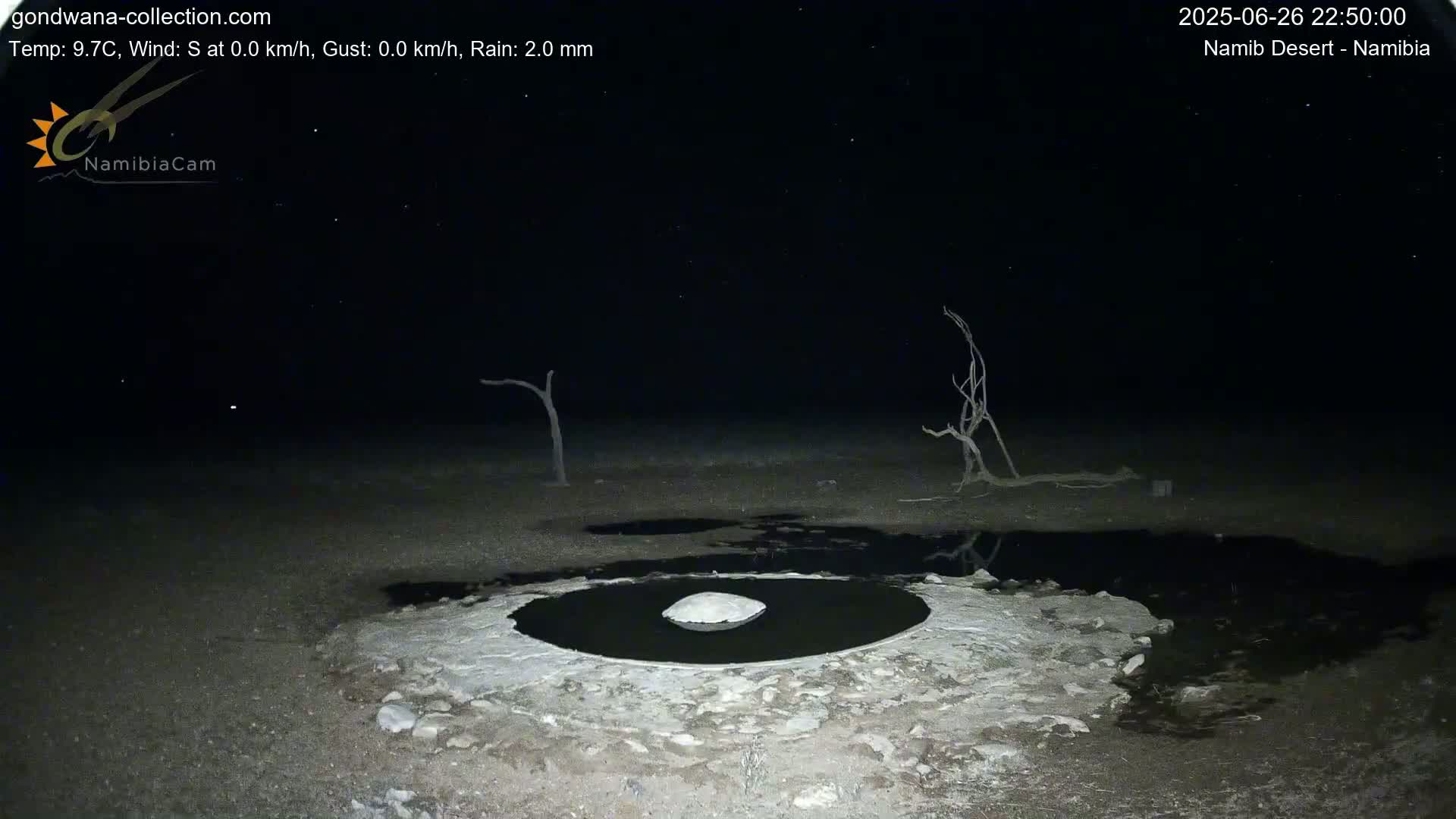 Wild Life in Namib Desert Naukluft National Park Live Cam - Maltahohe, Hardap,  Namibia