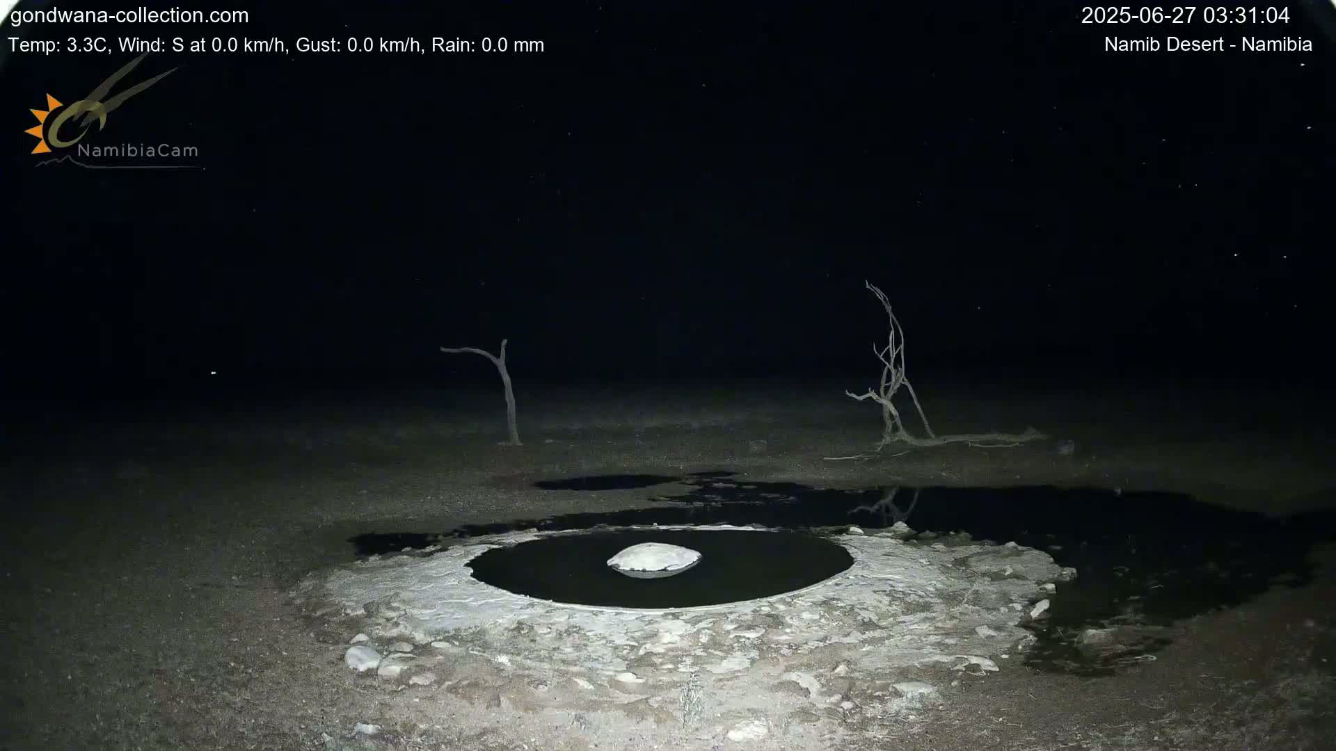 Wild Life in Namib Desert Naukluft National Park Live Cam - Maltahohe, Hardap,  Namibia